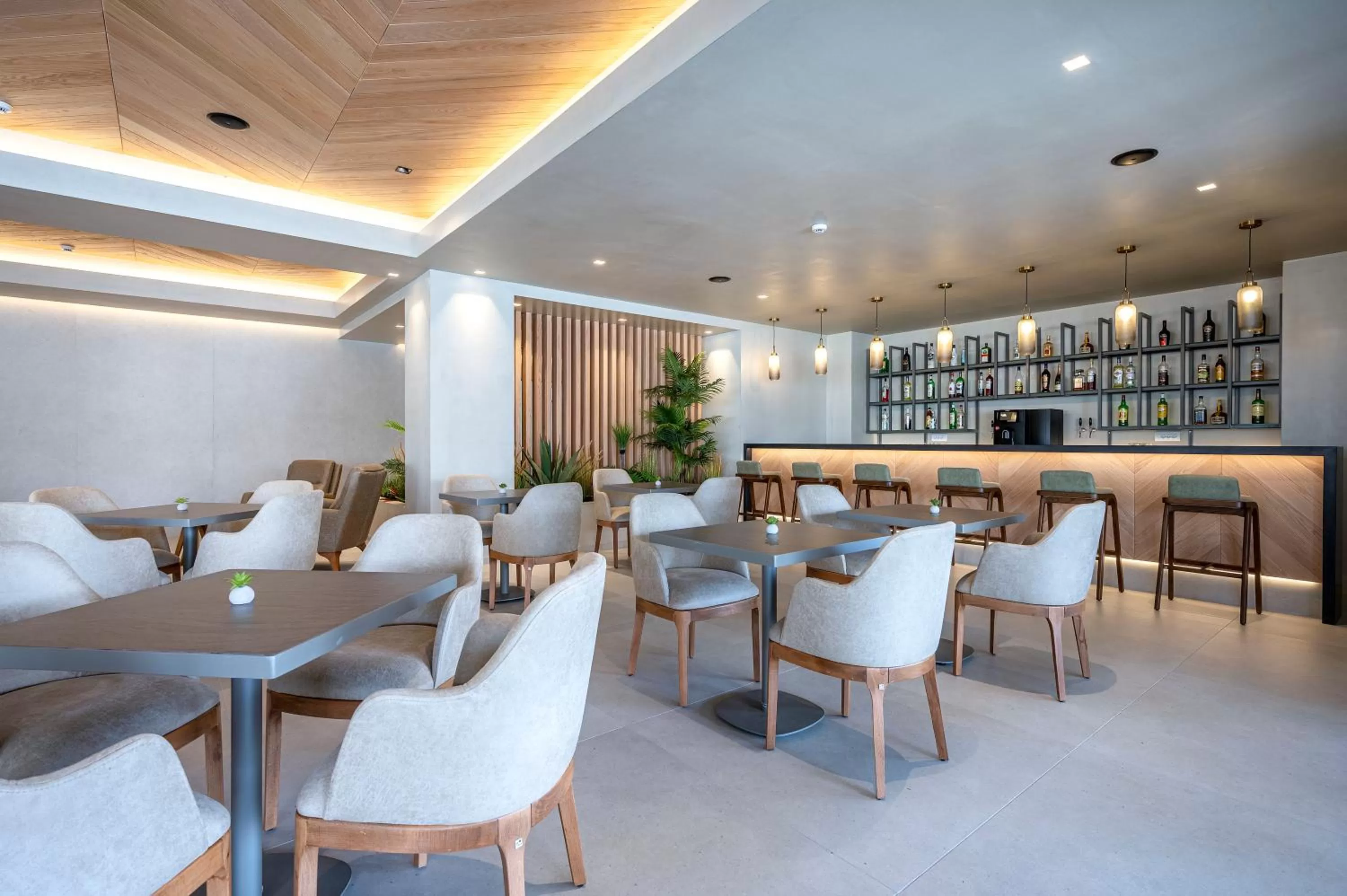 Lounge or bar in Apollon Hotel