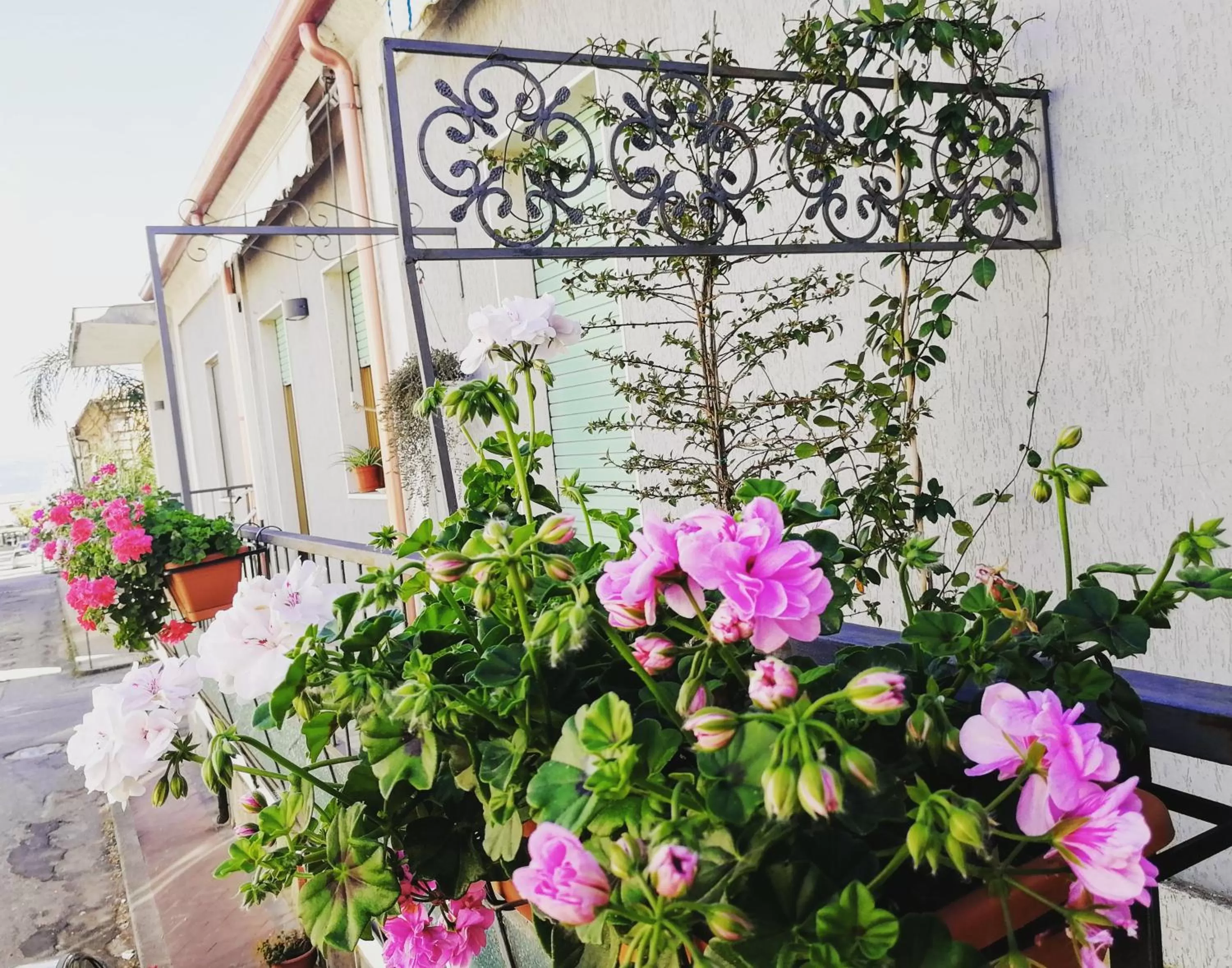 Property Building in Donna Melina