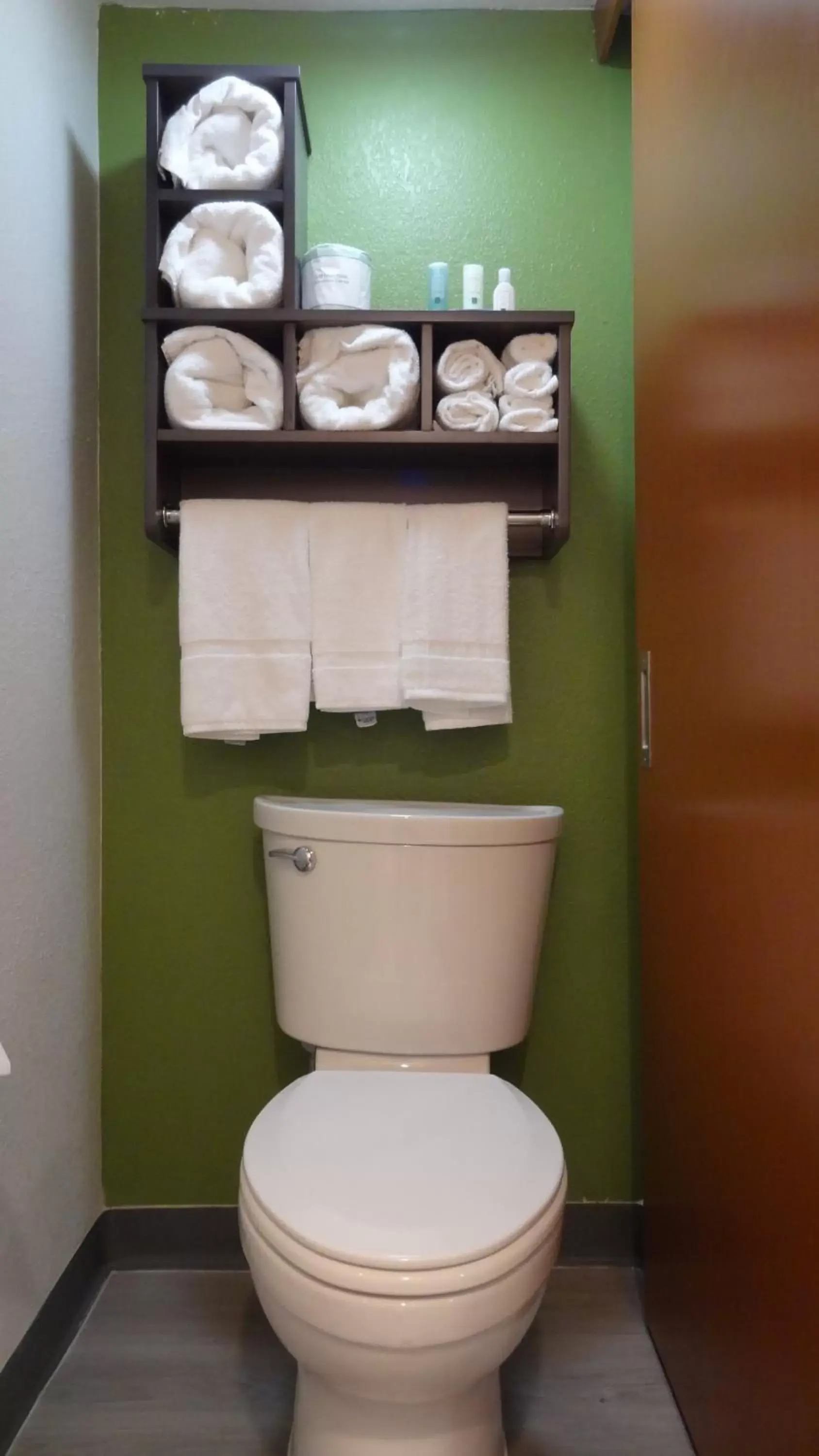 Toilet, Bathroom in Quality Inn & Suites Raleigh North Raleigh