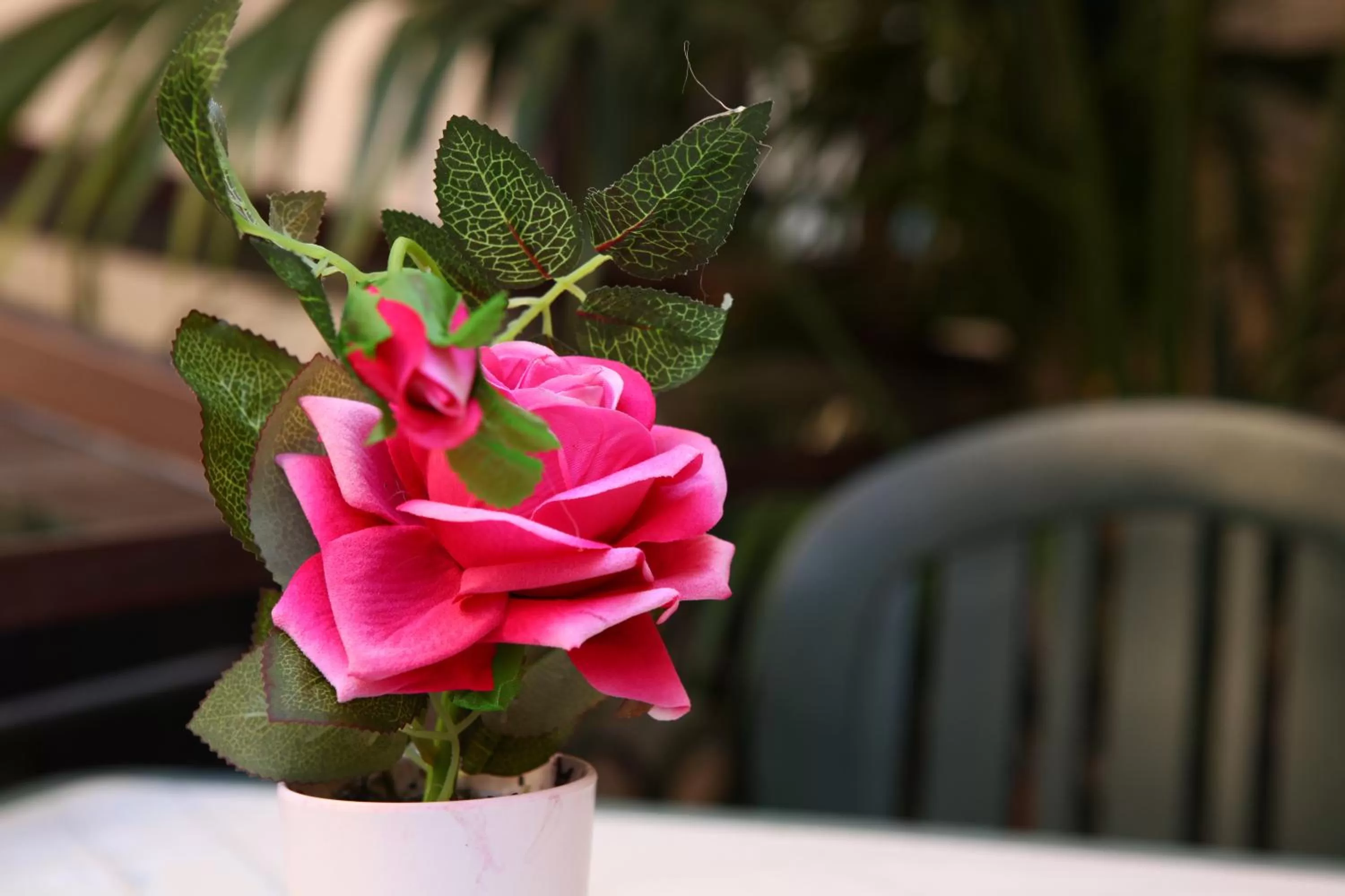 Garden in Art Lincoln