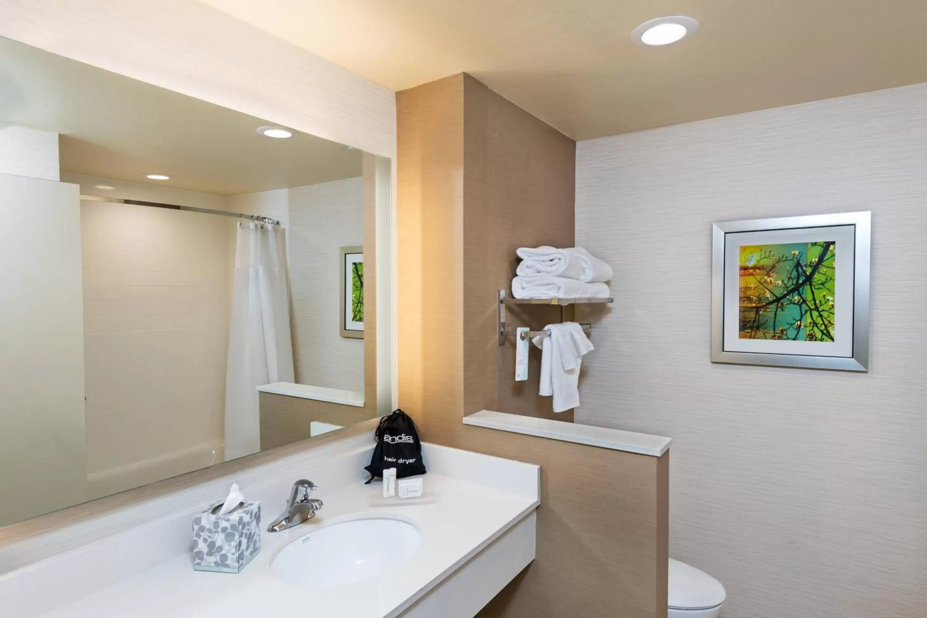 Bathroom in Fairfield Inn & Suites by Marriott Corpus Christi Aransas Pass