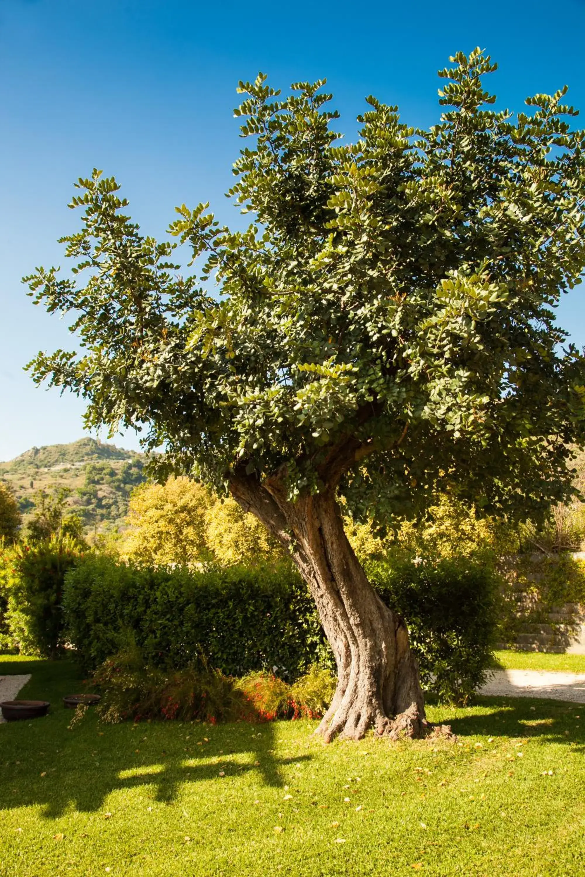 Garden in Alcantara Resort di Charme