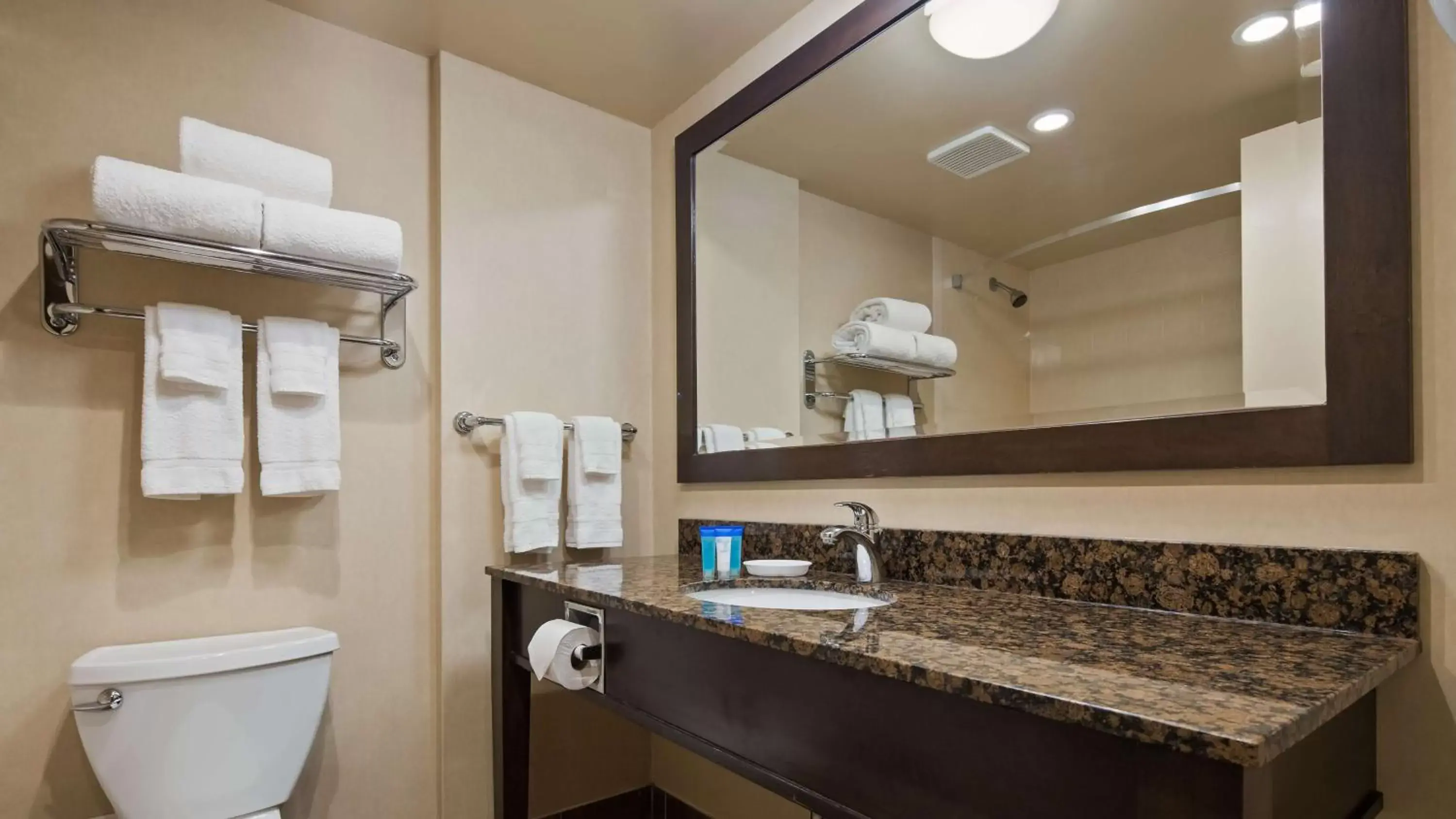 Bathroom in Best Western Voyageur Place Hotel