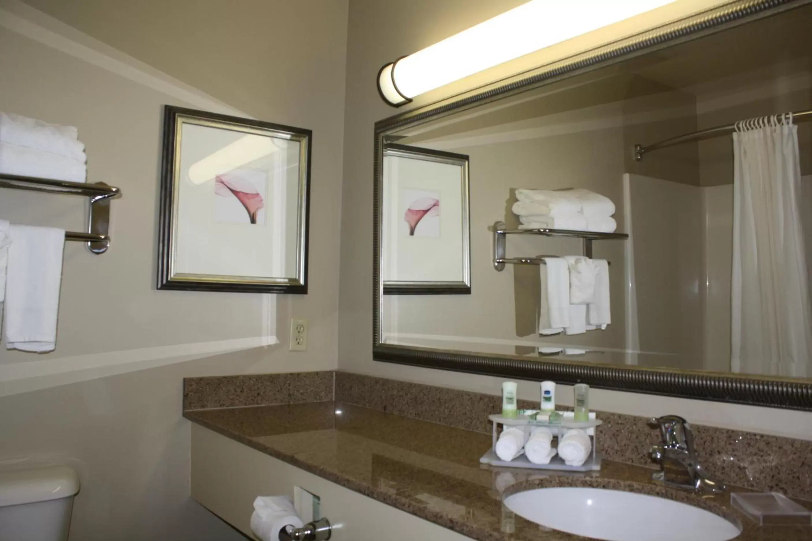 Bathroom in Country Inn & Suites by Radisson, Asheville at Asheville Outlet Mall, NC