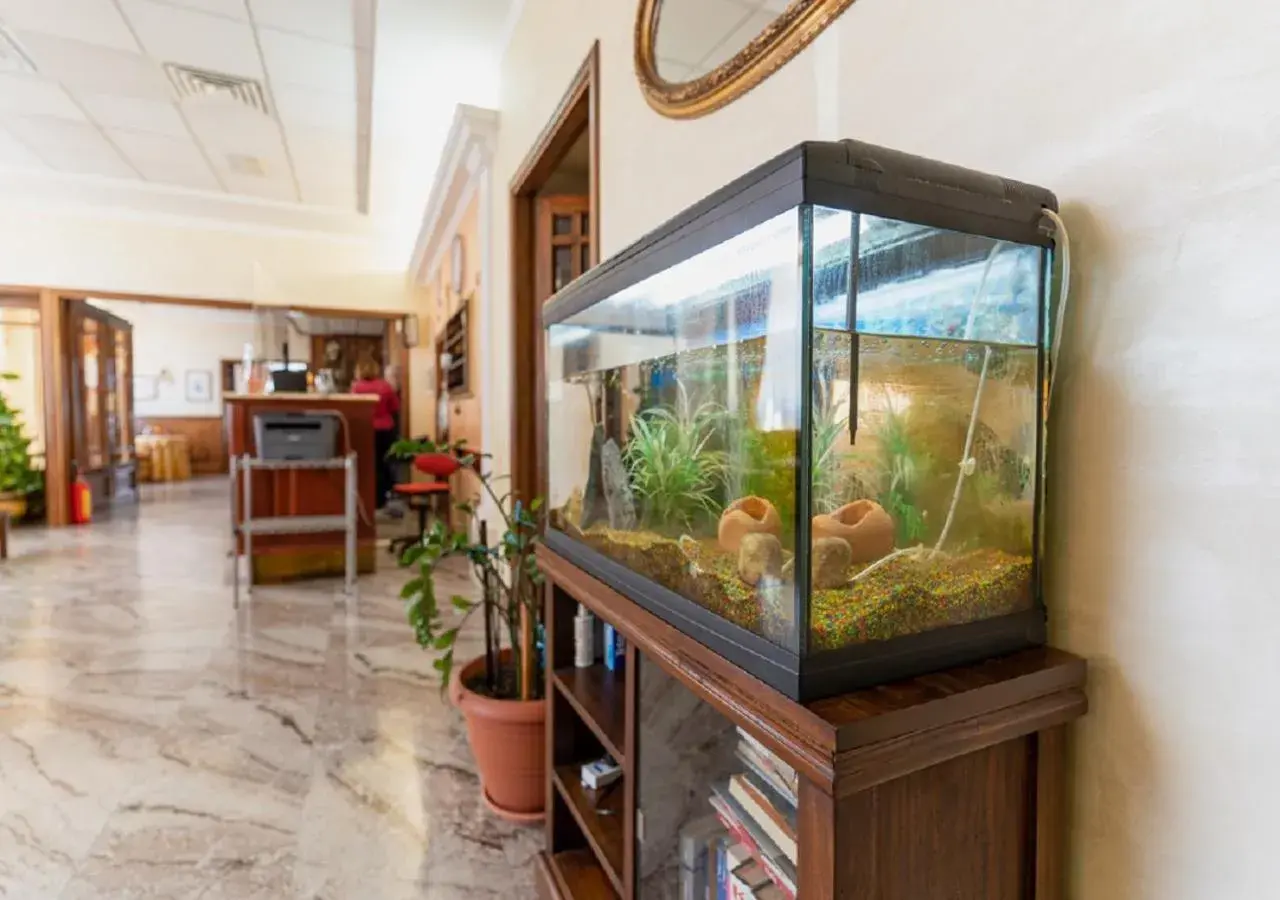 Living room in Hotel Villa Delle Rose