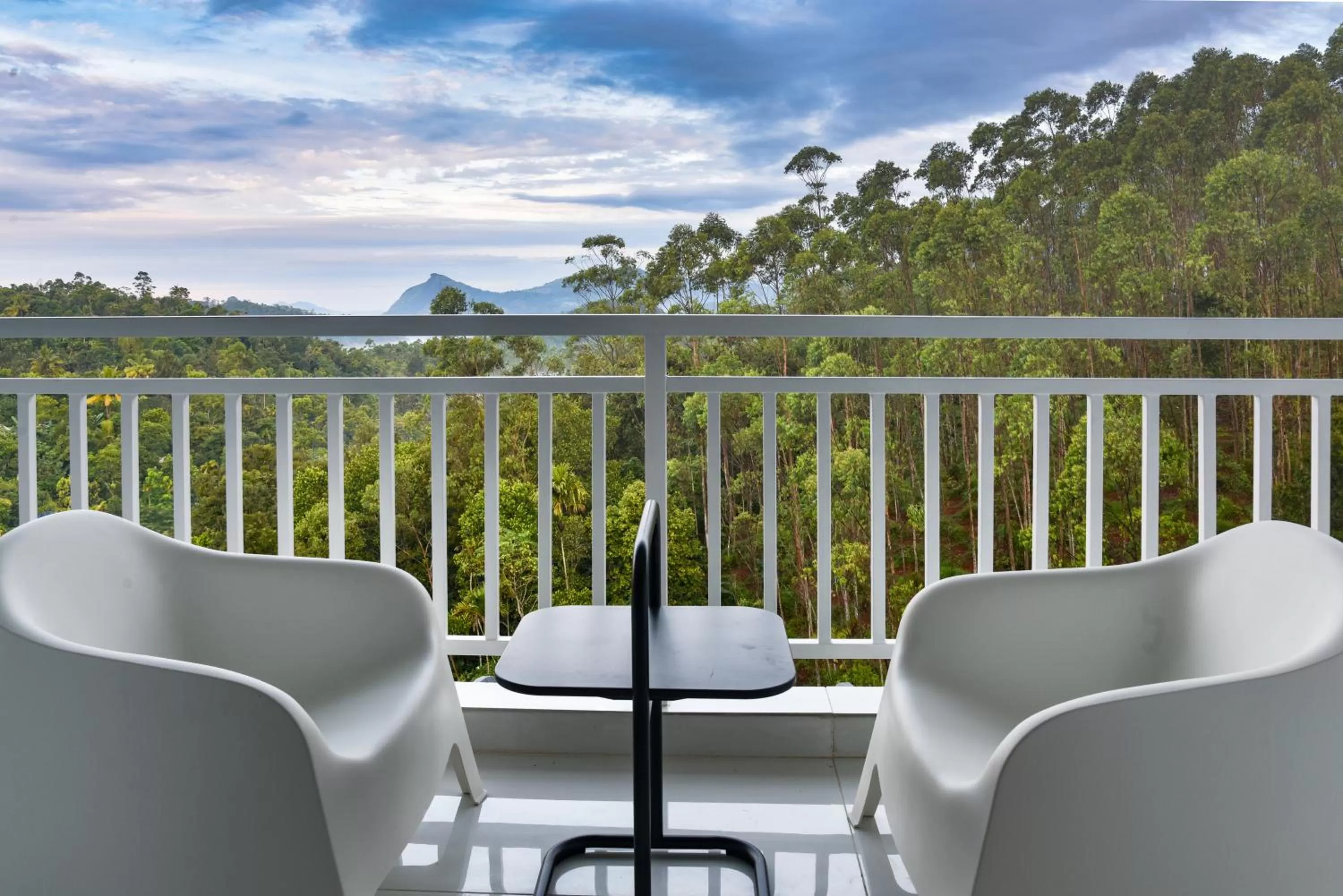 Balcony/Terrace in HOTEL WHITE HOUSE, Munnar