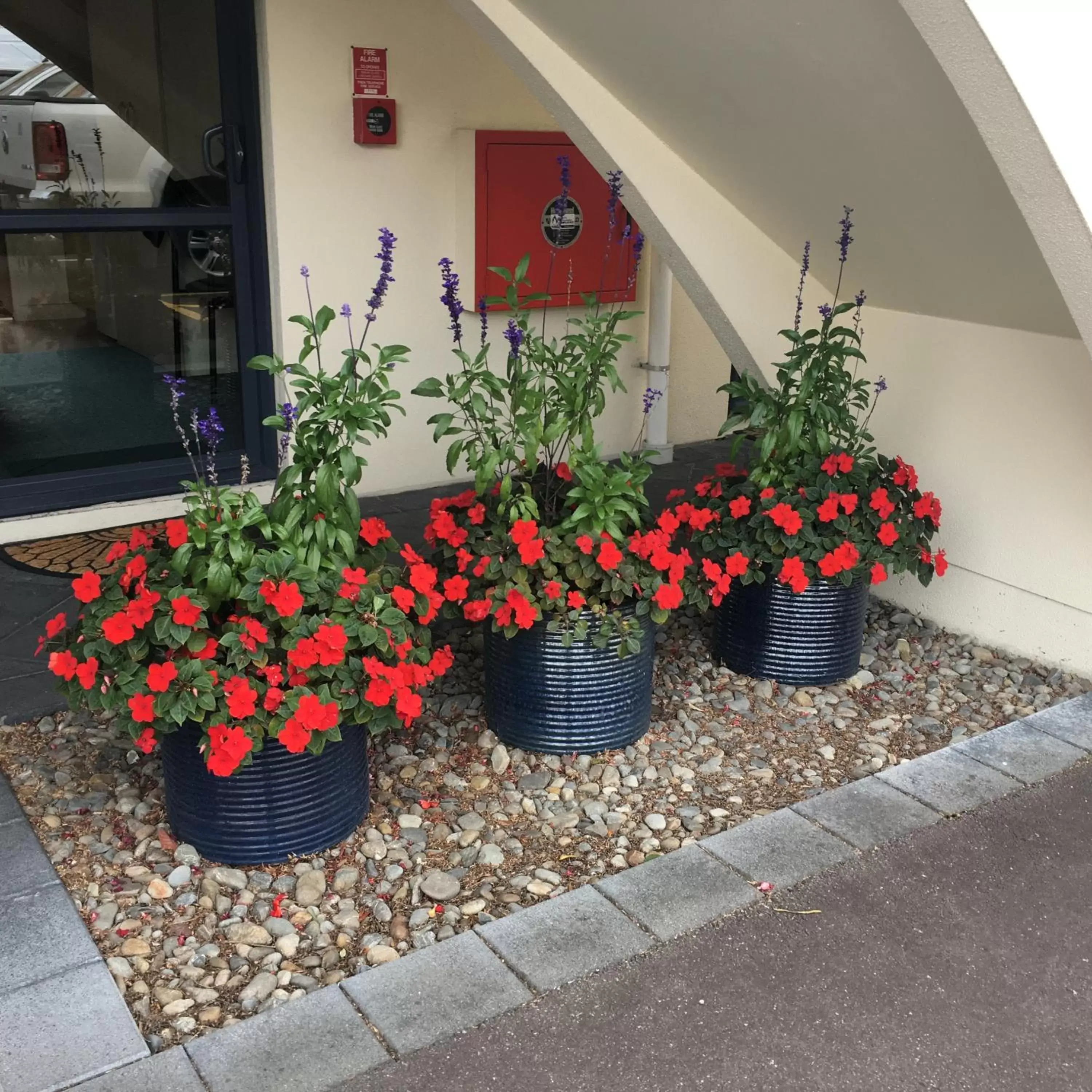 Property building in Bella Vista Motel Palmerston North Property building in Bella Vista Motel Palmerston North