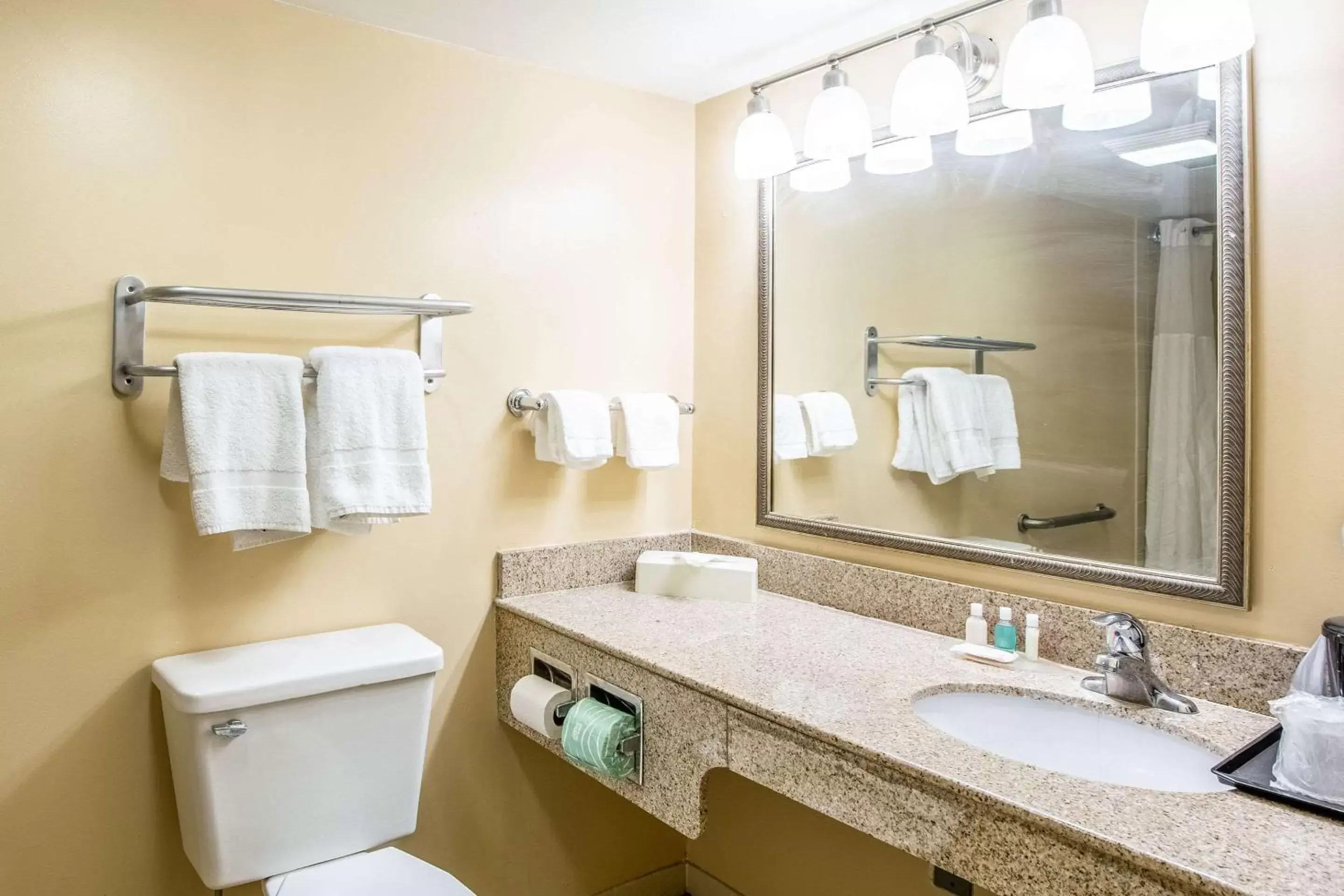 Bathroom in Econo Lodge Naval Station Norfolk