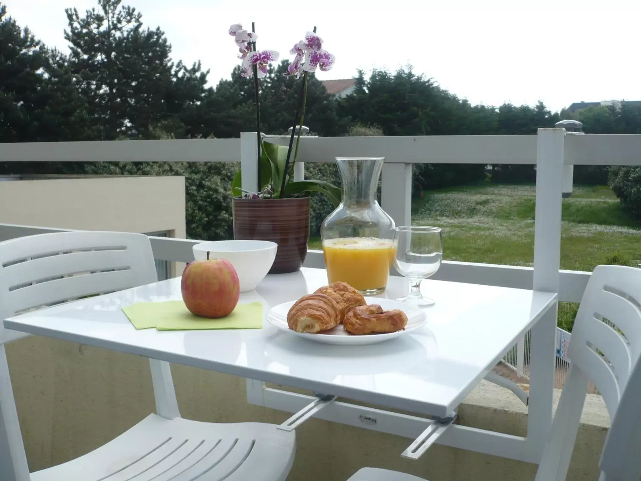 Balcony/Terrace in Résidence New Rochelle