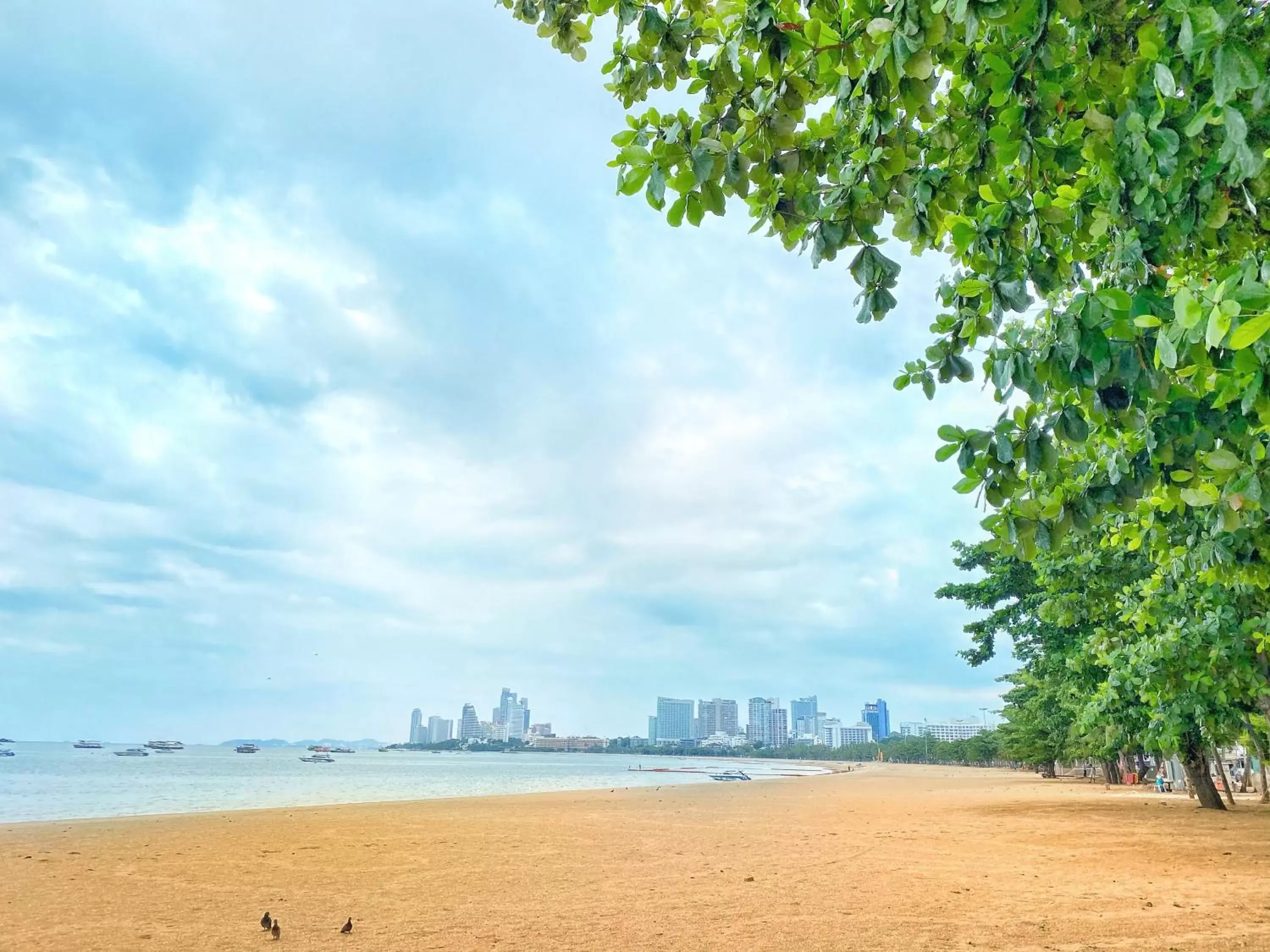 Property building in New Star Property building in New Star