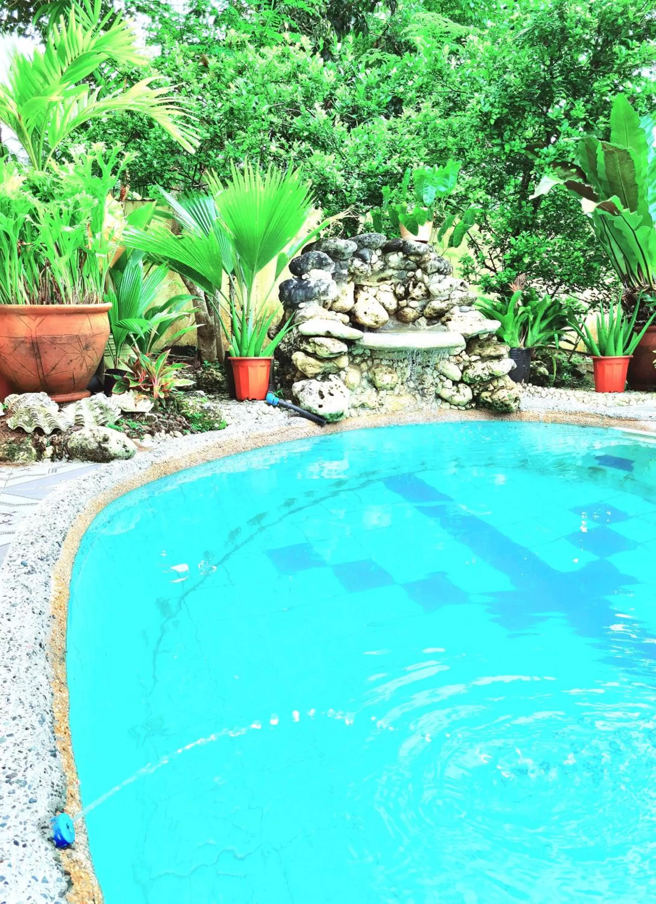 Garden in La-Familia Guest House