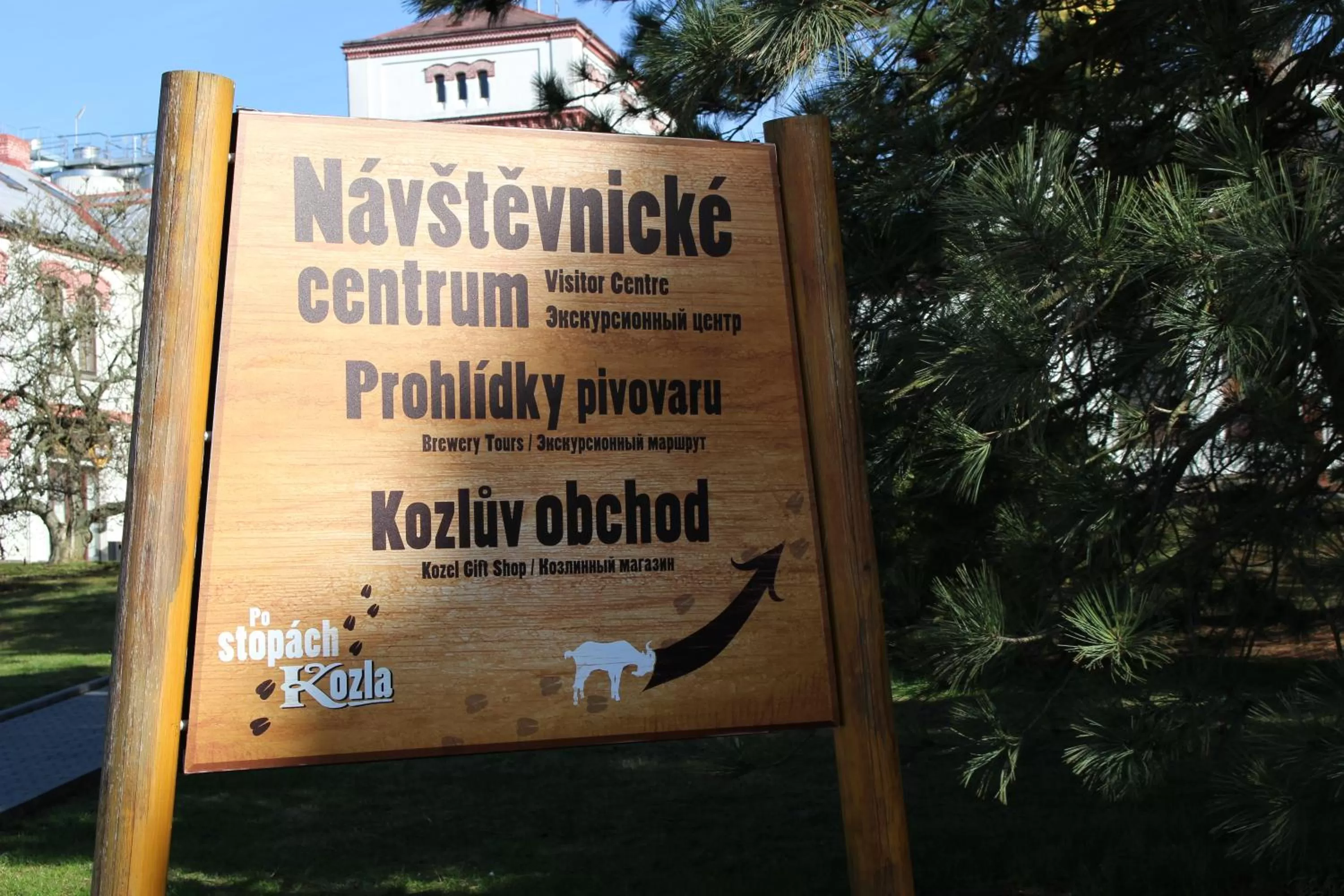 Activities in Hotel u Ledu