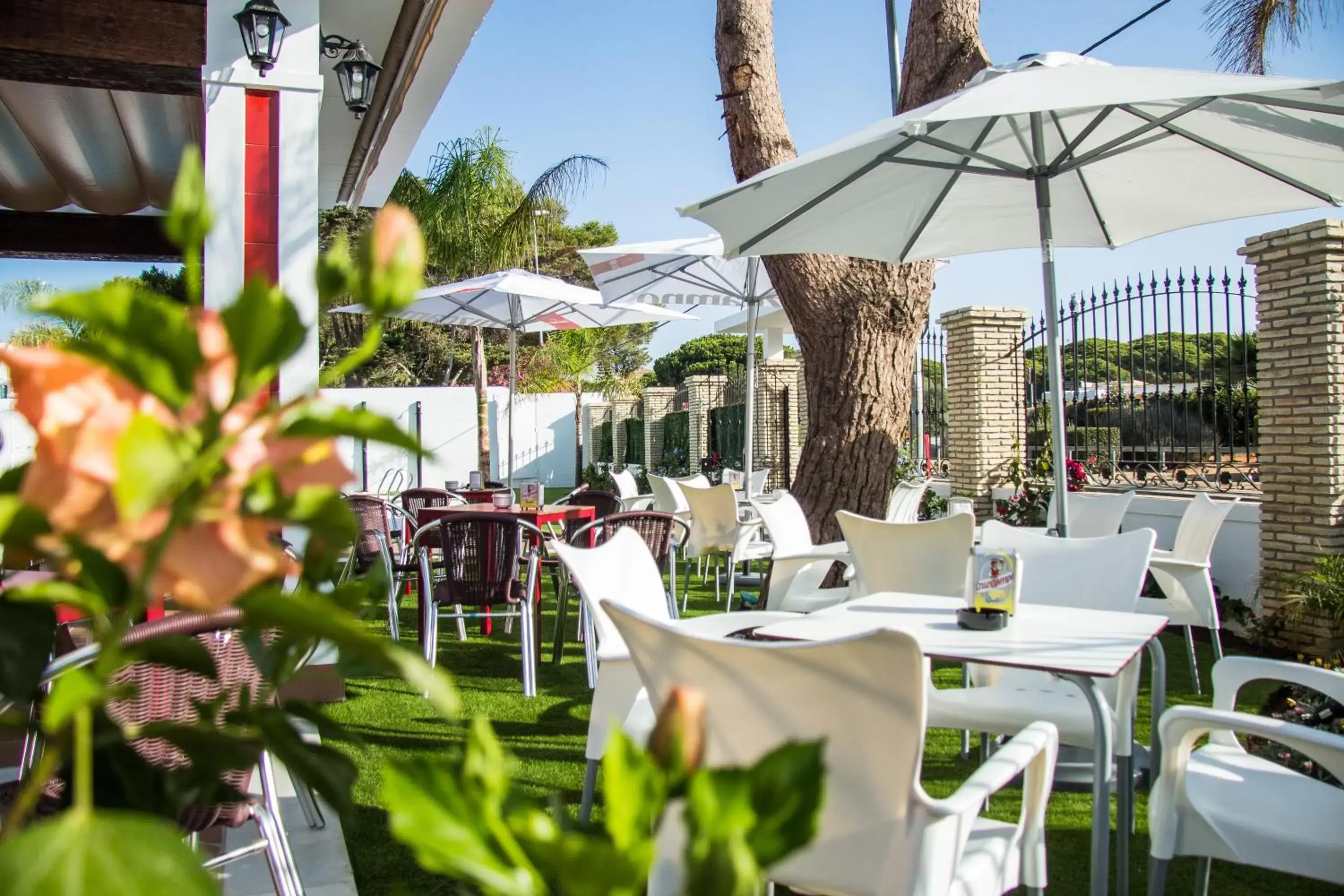 Garden, Restaurant/Places to Eat in Hotel Novomar