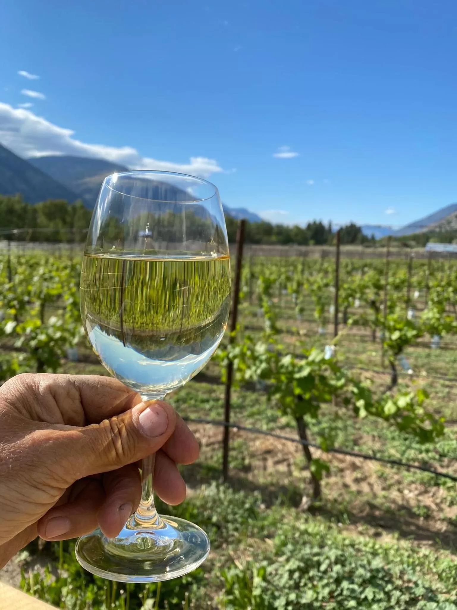 Drinks in Similkameen Wild Resort & Winery Retreat