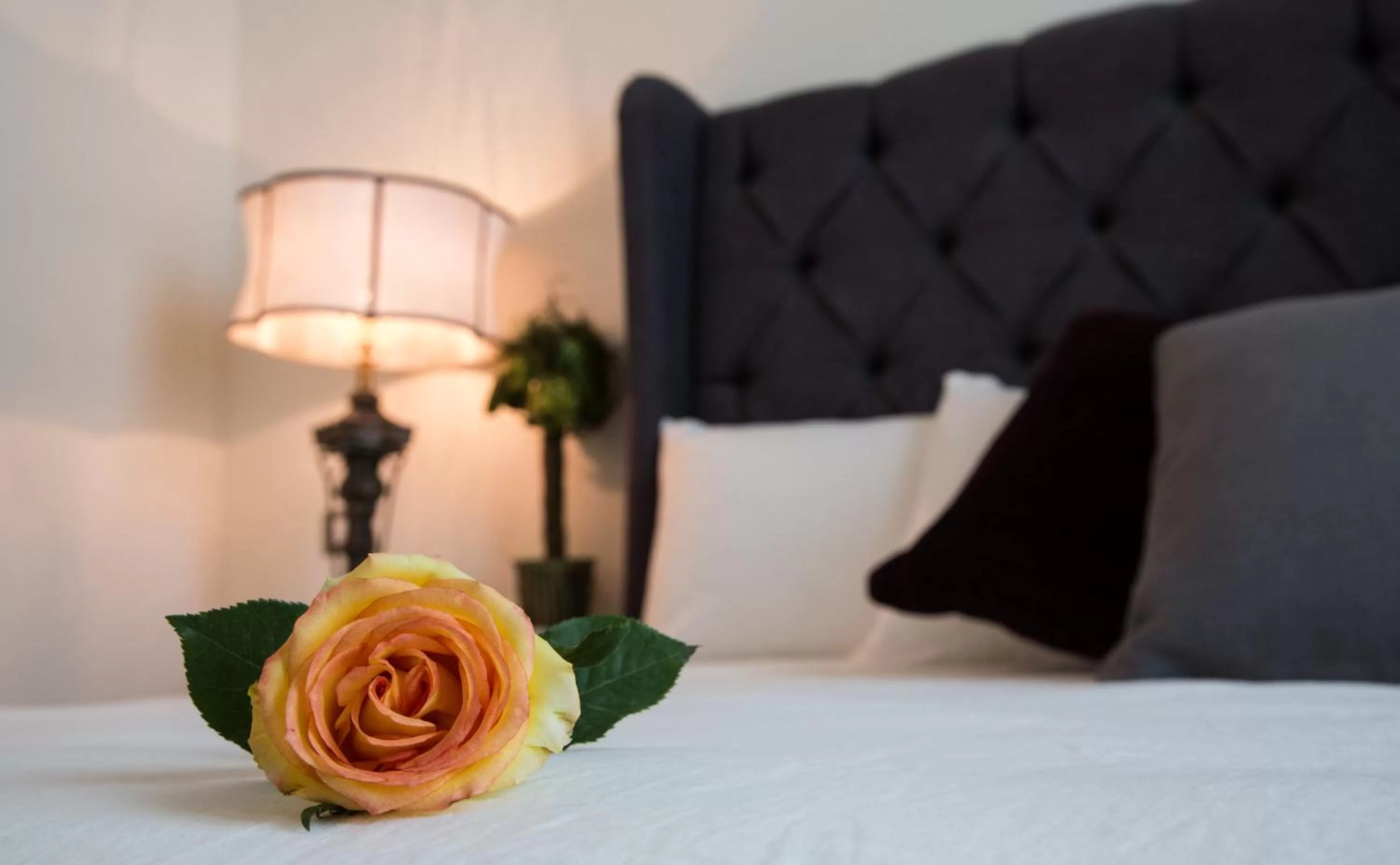 Bed in Casa Monraz Hotel Boutique