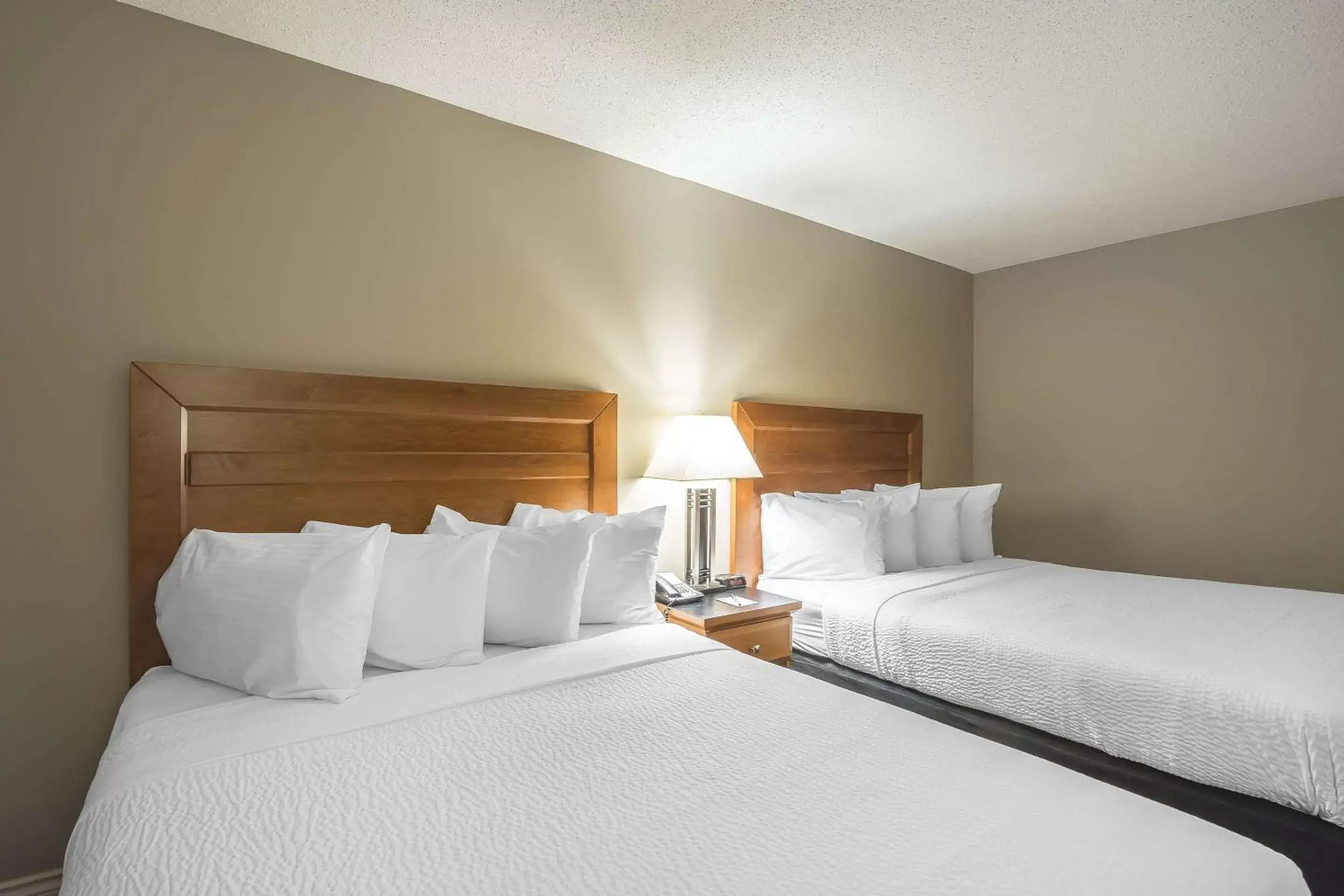 Photo of the whole room, Bed in Quality Inn West Edmonton