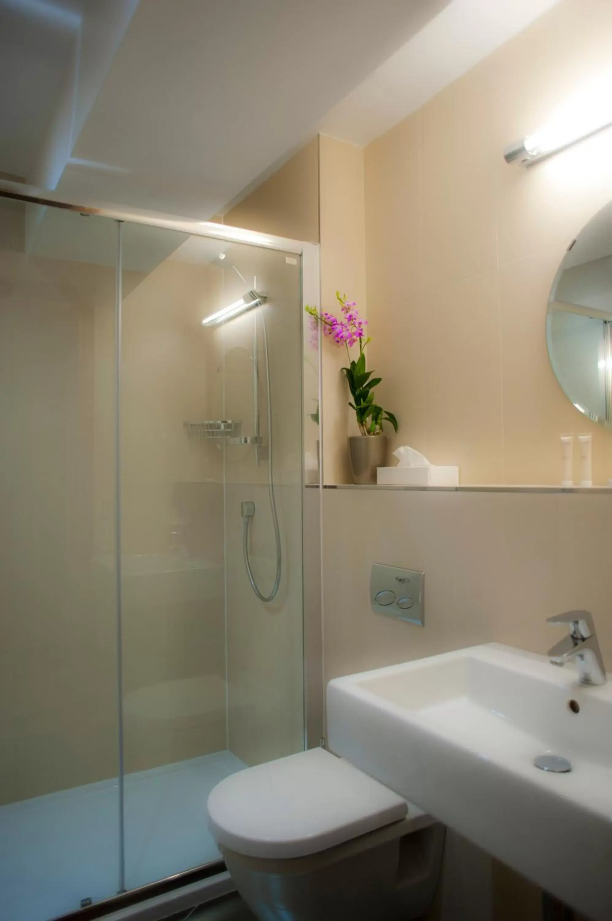 Shower, Bathroom in Chamois d'Or Hotel