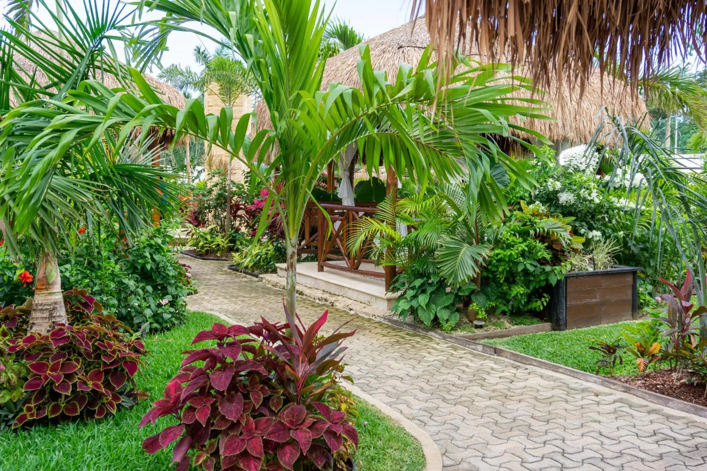 Garden in Tsaakik Jungle Hotel & Spa
