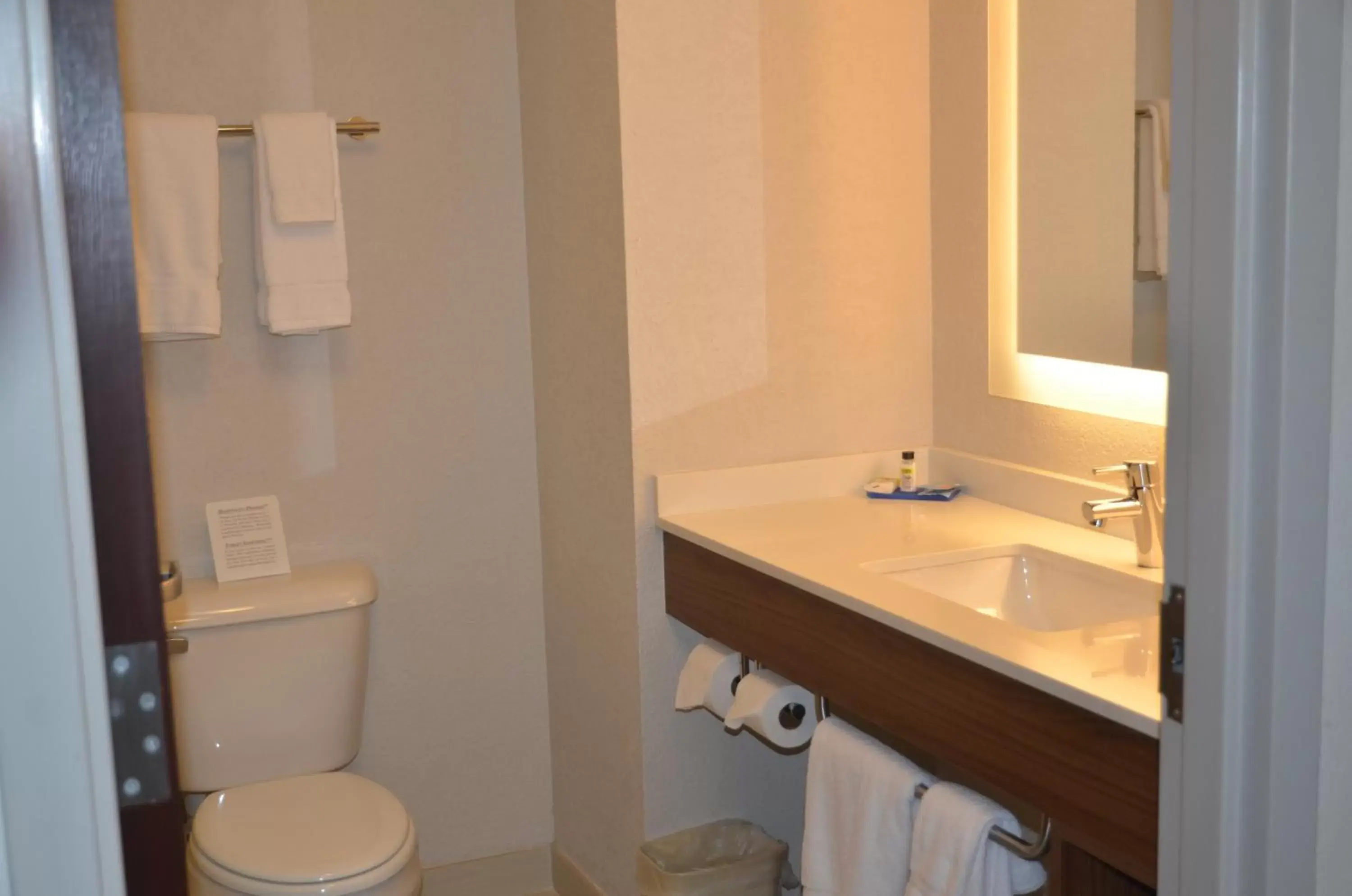 Bathroom in Holiday Inn Express Hotel & Suites Rochester, an IHG Hotel
