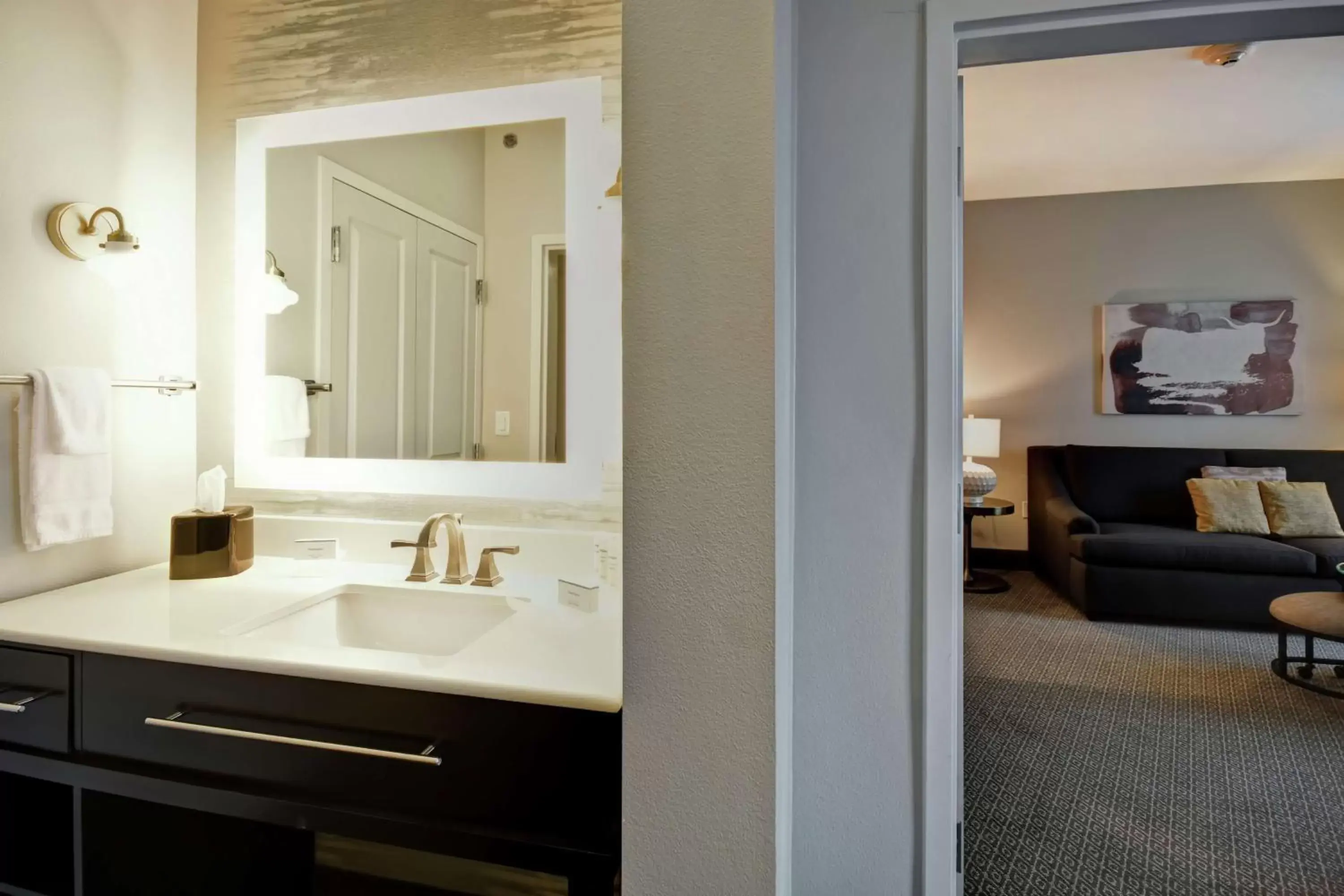 Living room, Bathroom in Homewood Suites by Hilton Dallas Arlington South