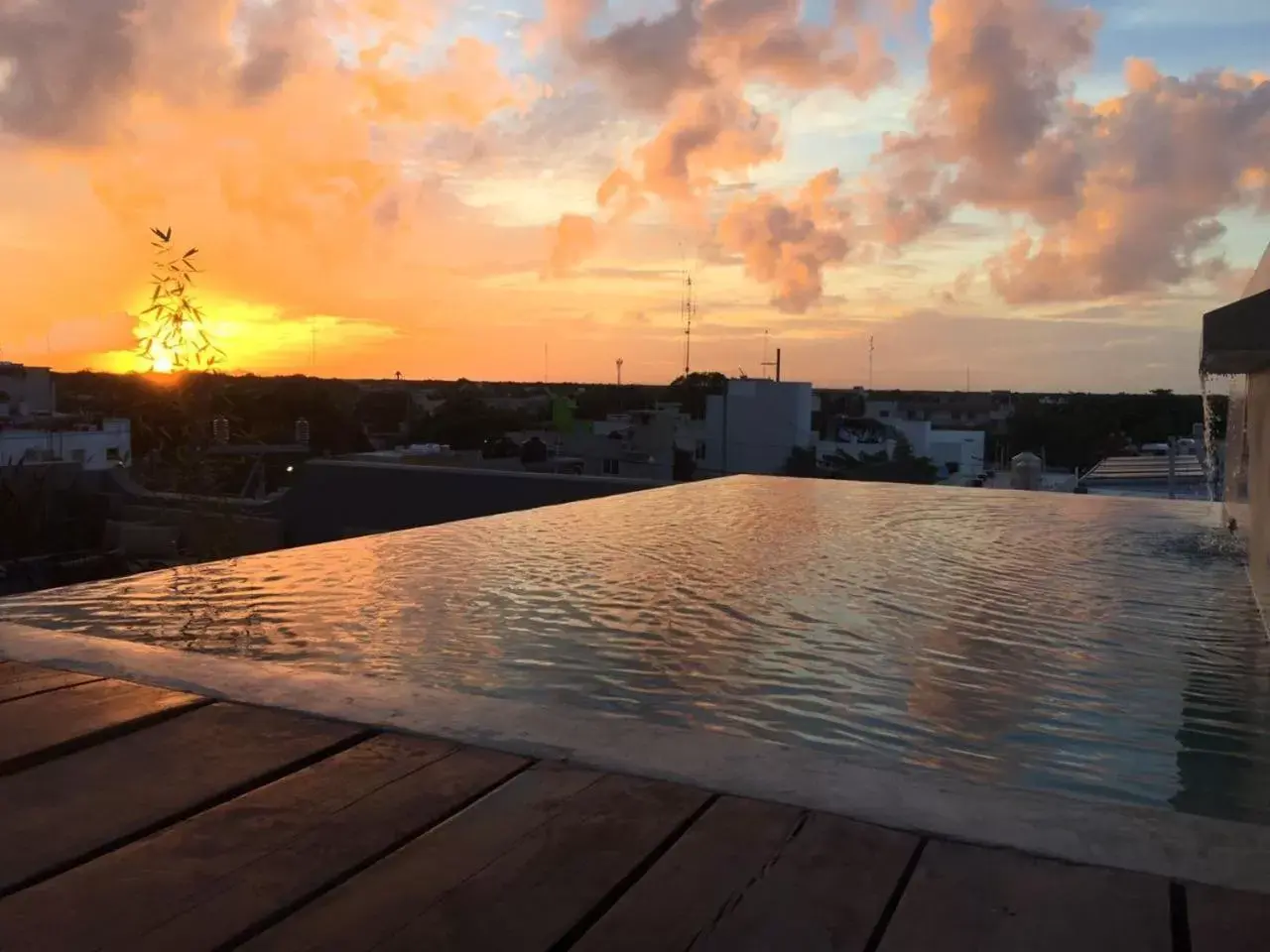 Swimming pool, Sunrise/Sunset in Aruma Art House Hotel Boutique