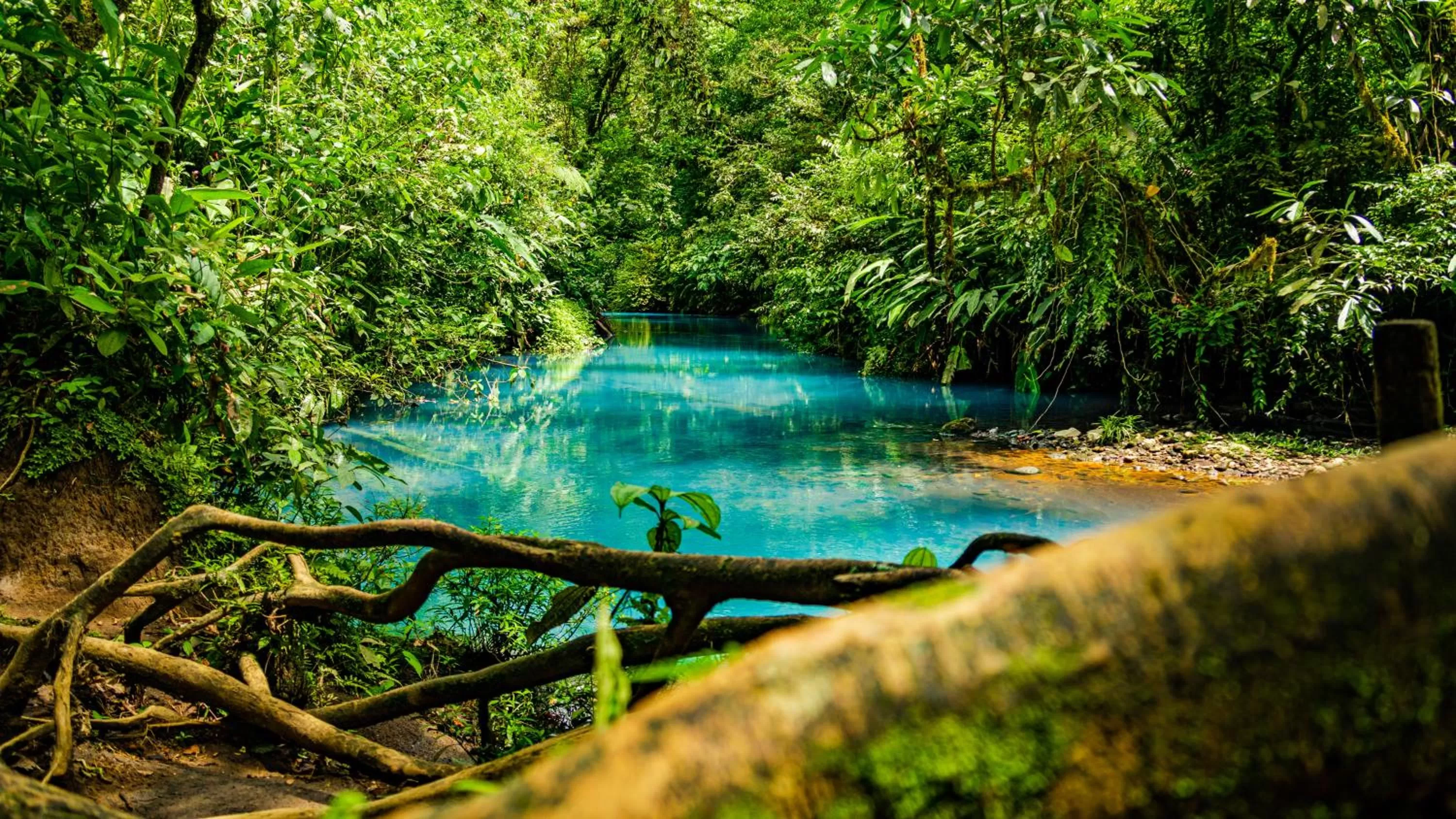 Property building in Agutipaca Bungalows