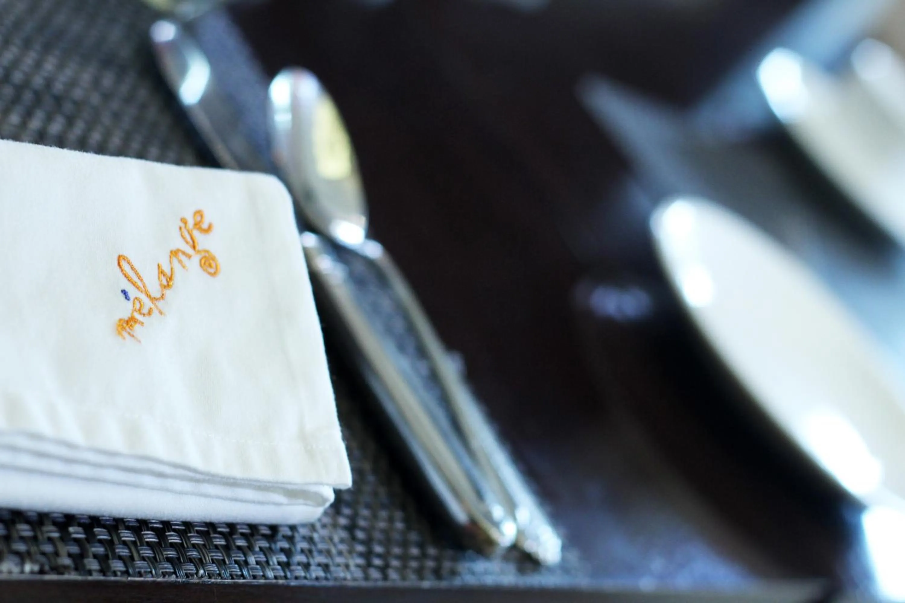 Property logo or sign in The Pllazio Hotel