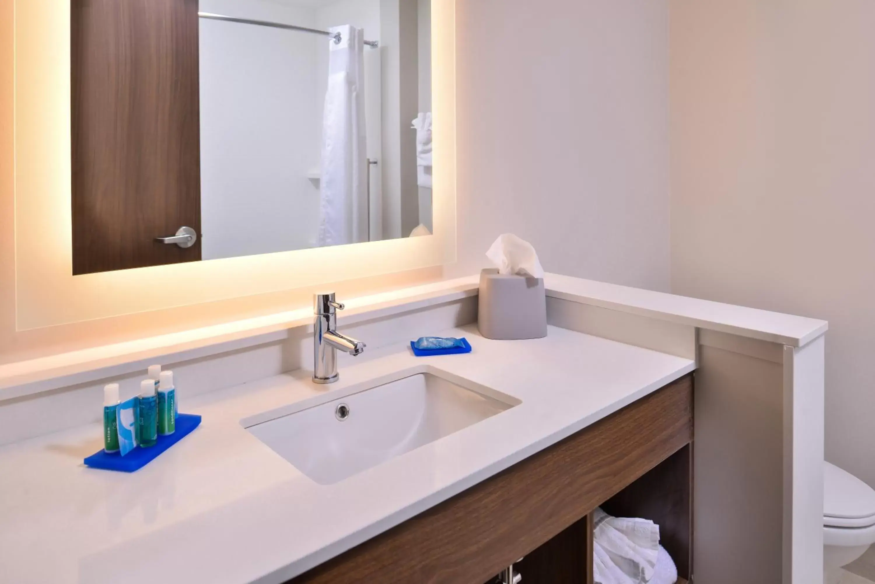 Bathroom in Holiday Inn Express & Suites Farmville, an IHG Hotel