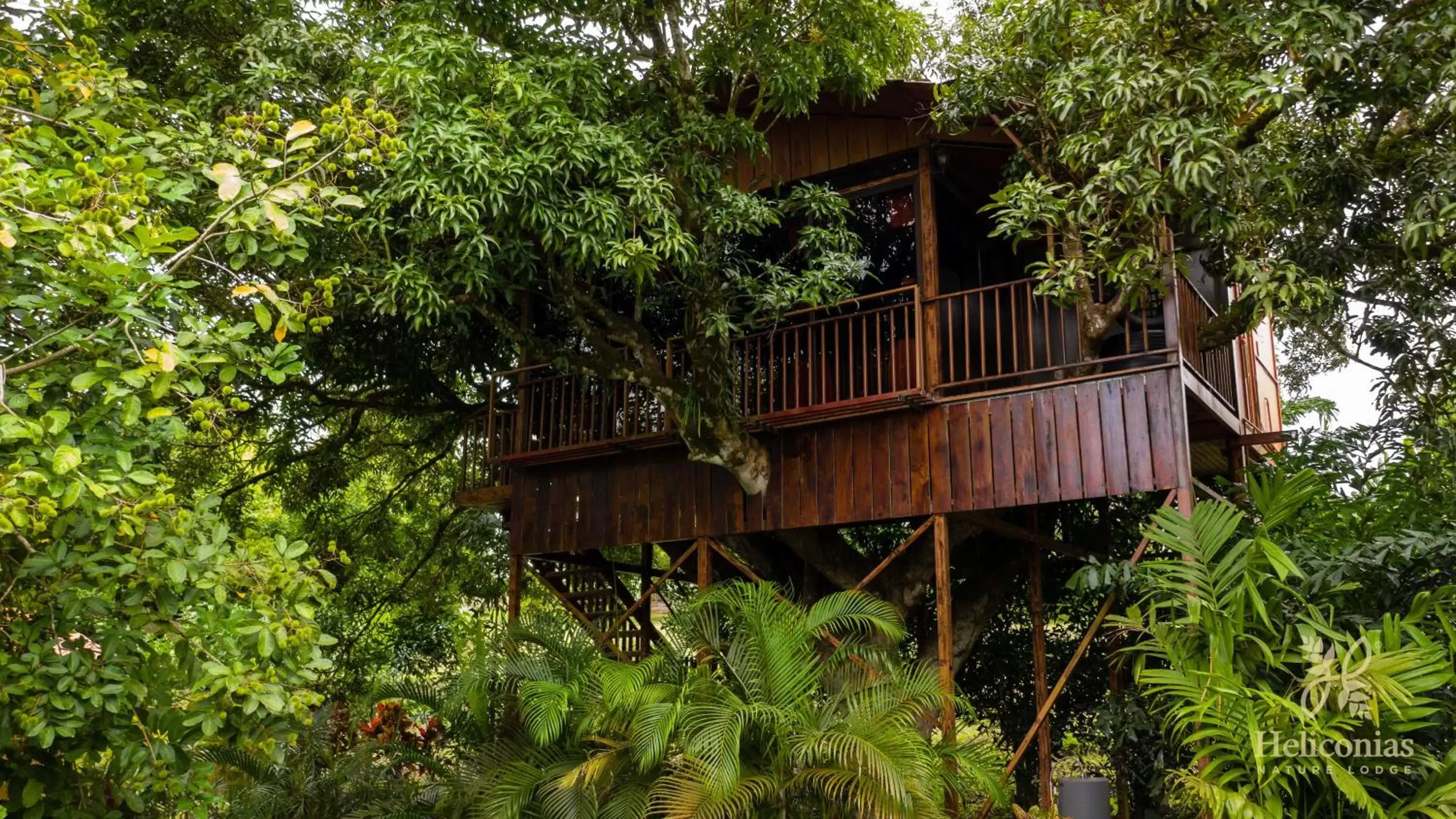 Property building in Hotel Heliconias Nature Inn & Hot Springs