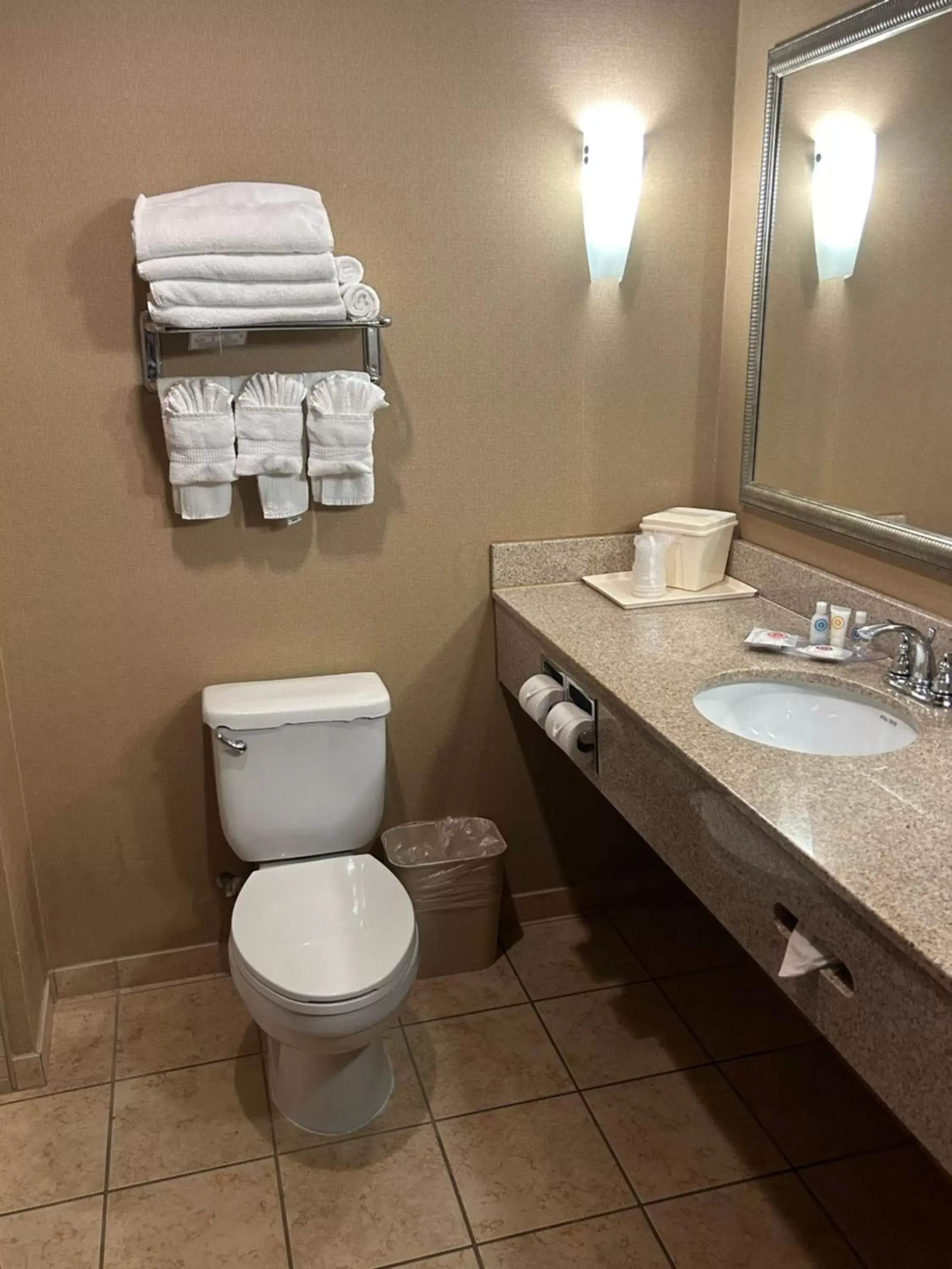 Bathroom in Comfort Suites Palestine