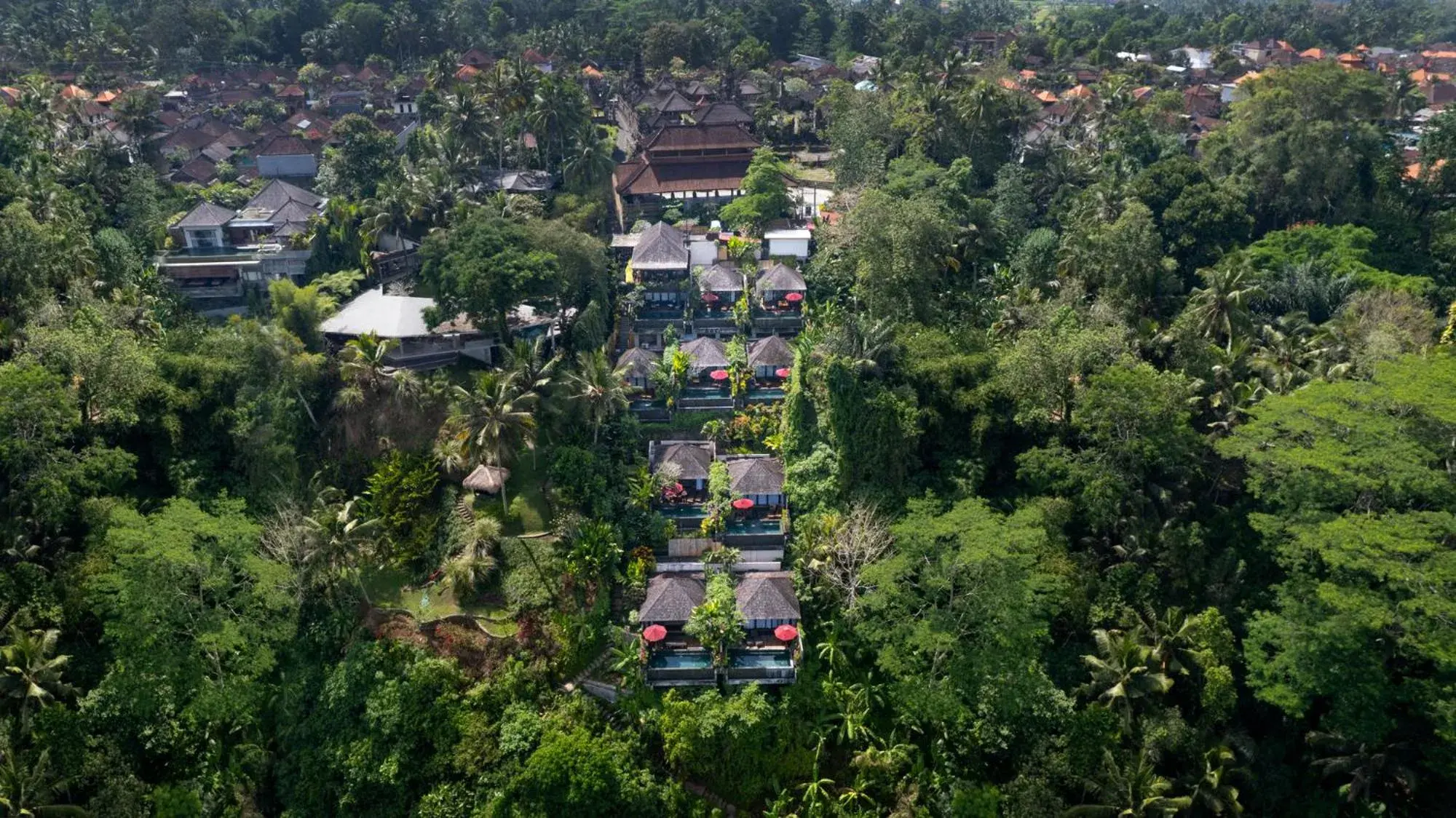Natural landscape, Bird's-eye View in Black Penny Villas Ubud