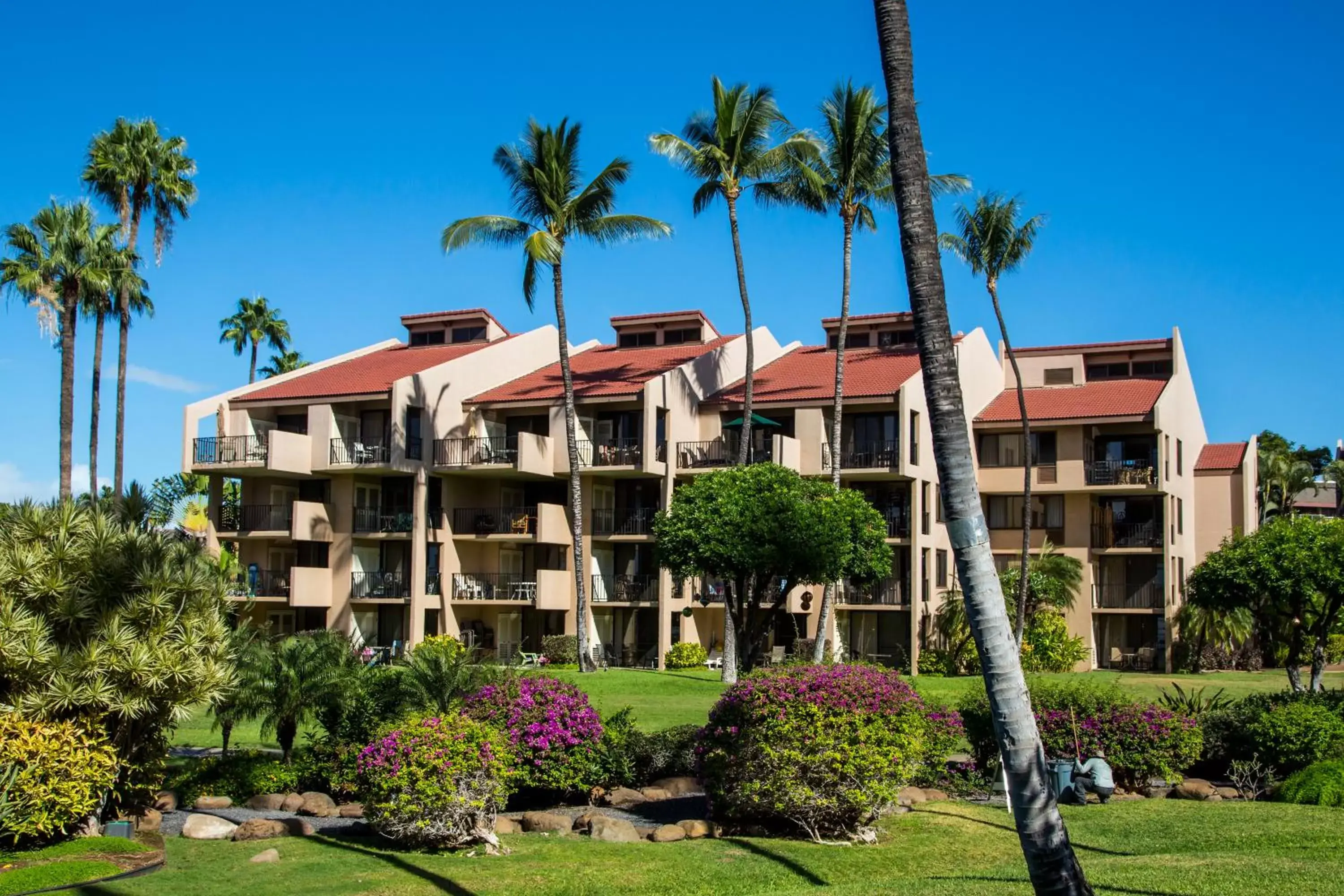 Property building, Garden in Castle Kamaole Sands