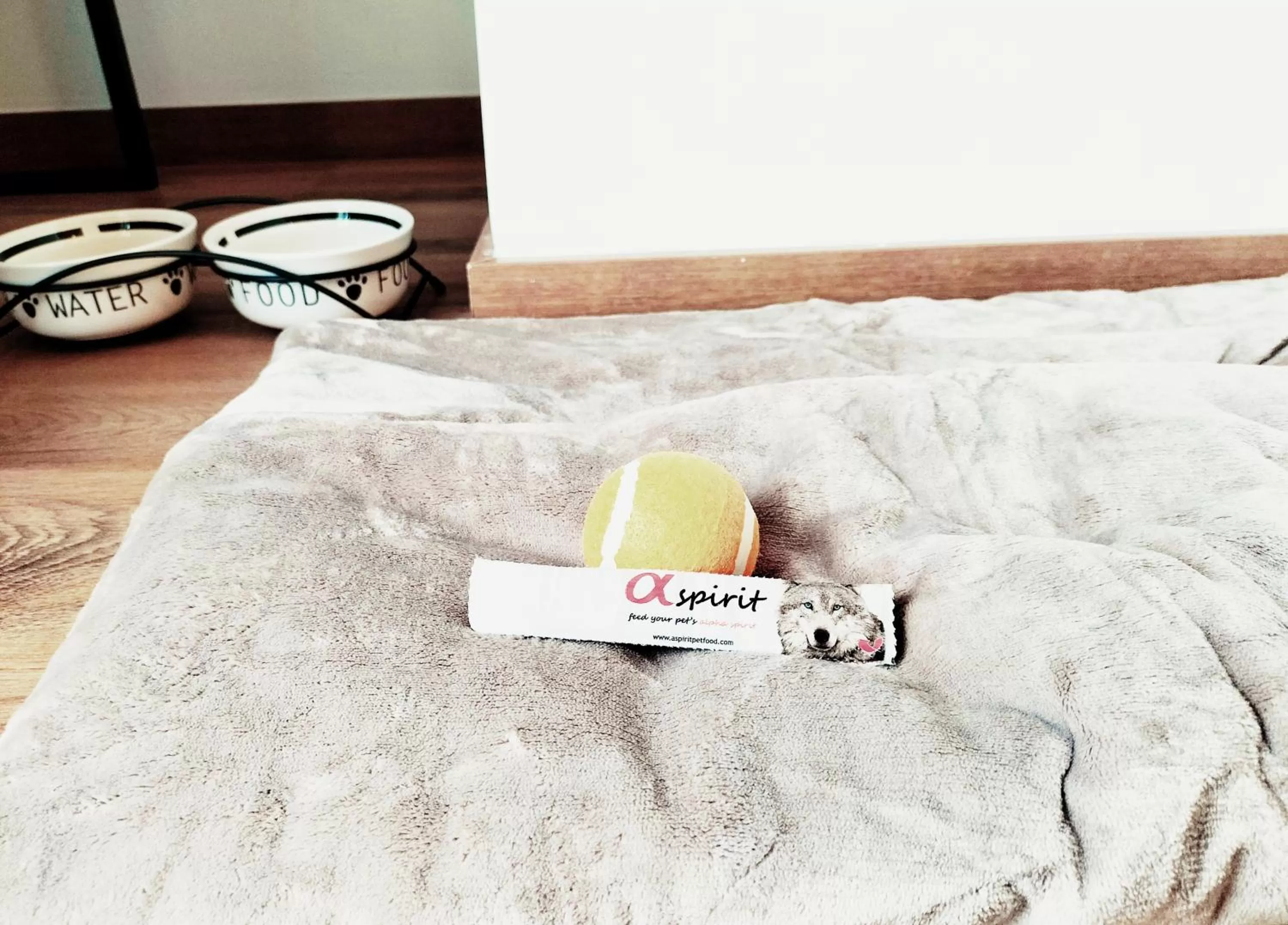 Pets, Bed in Hotel Matilde by gaiarooms