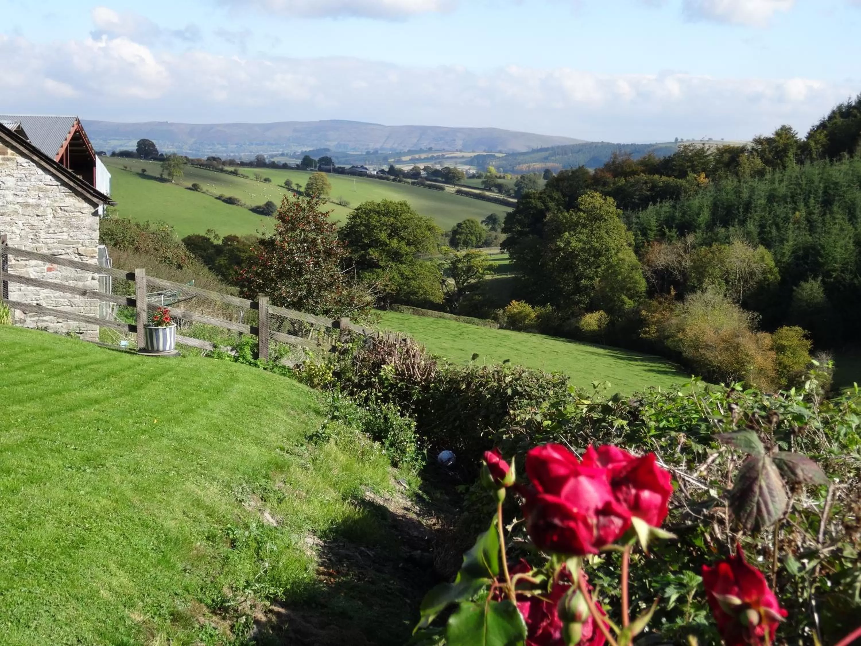 Property building in Middle Woodbatch B&B