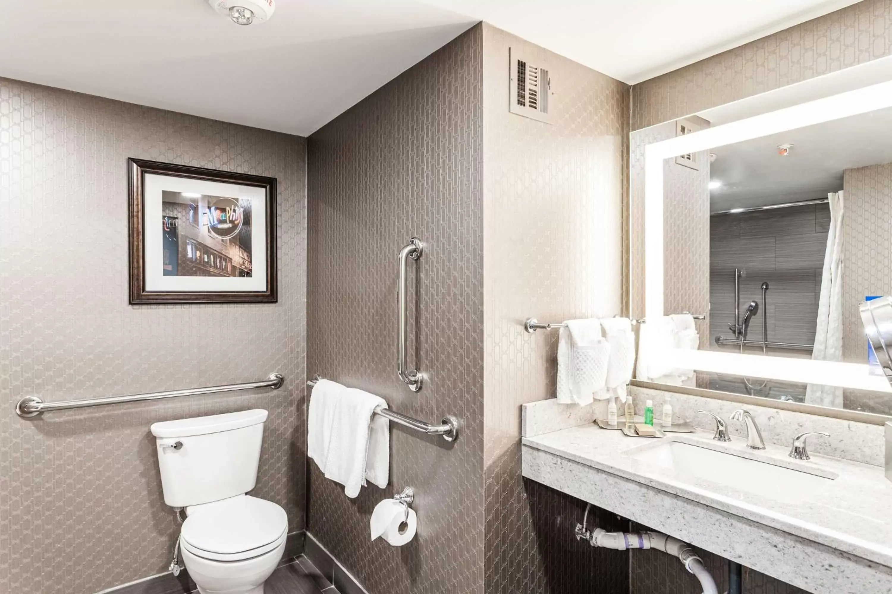 Bathroom in DoubleTree by Hilton Memphis