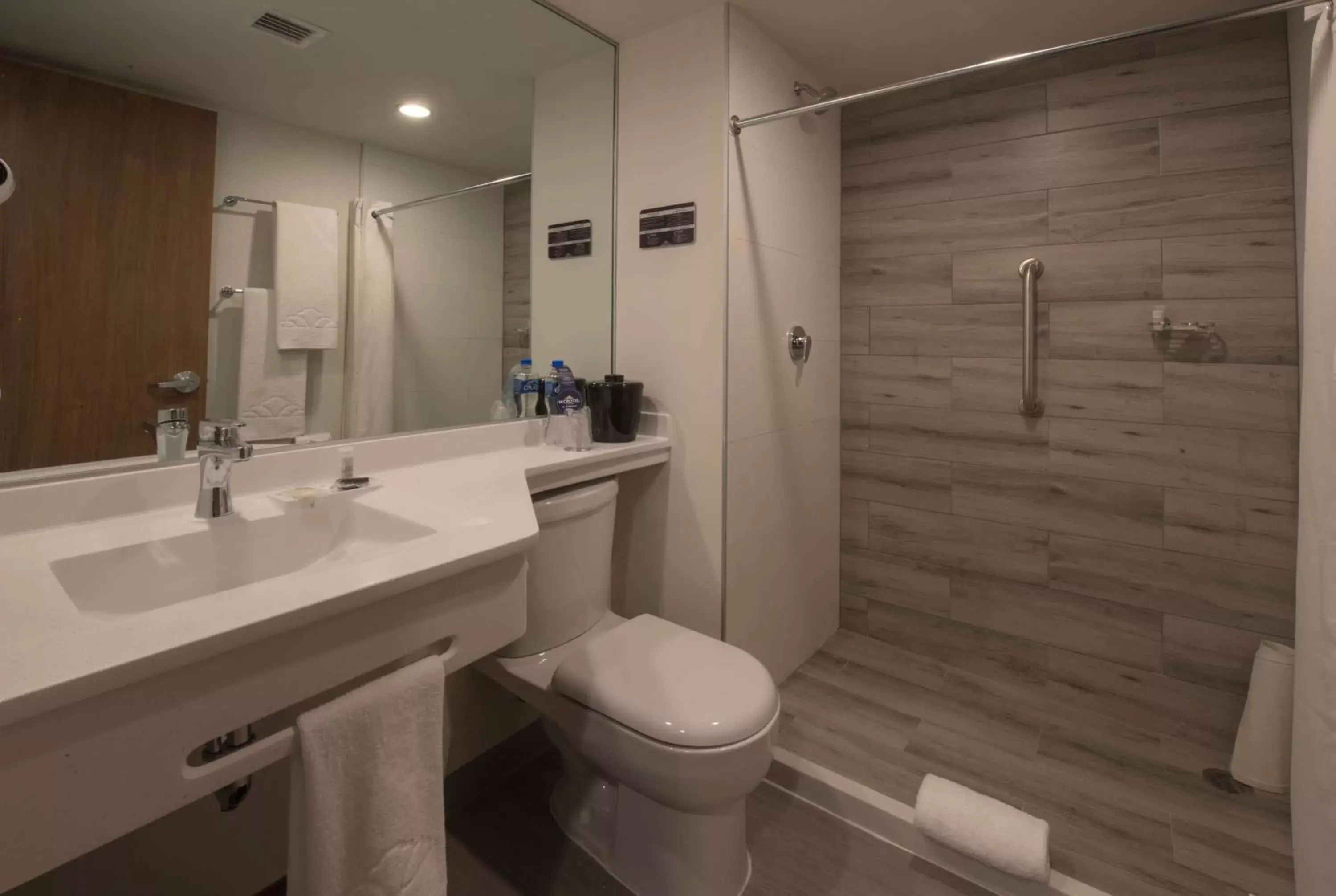 Bathroom in Microtel Inn & Suites by Wyndham Guadalajara Sur