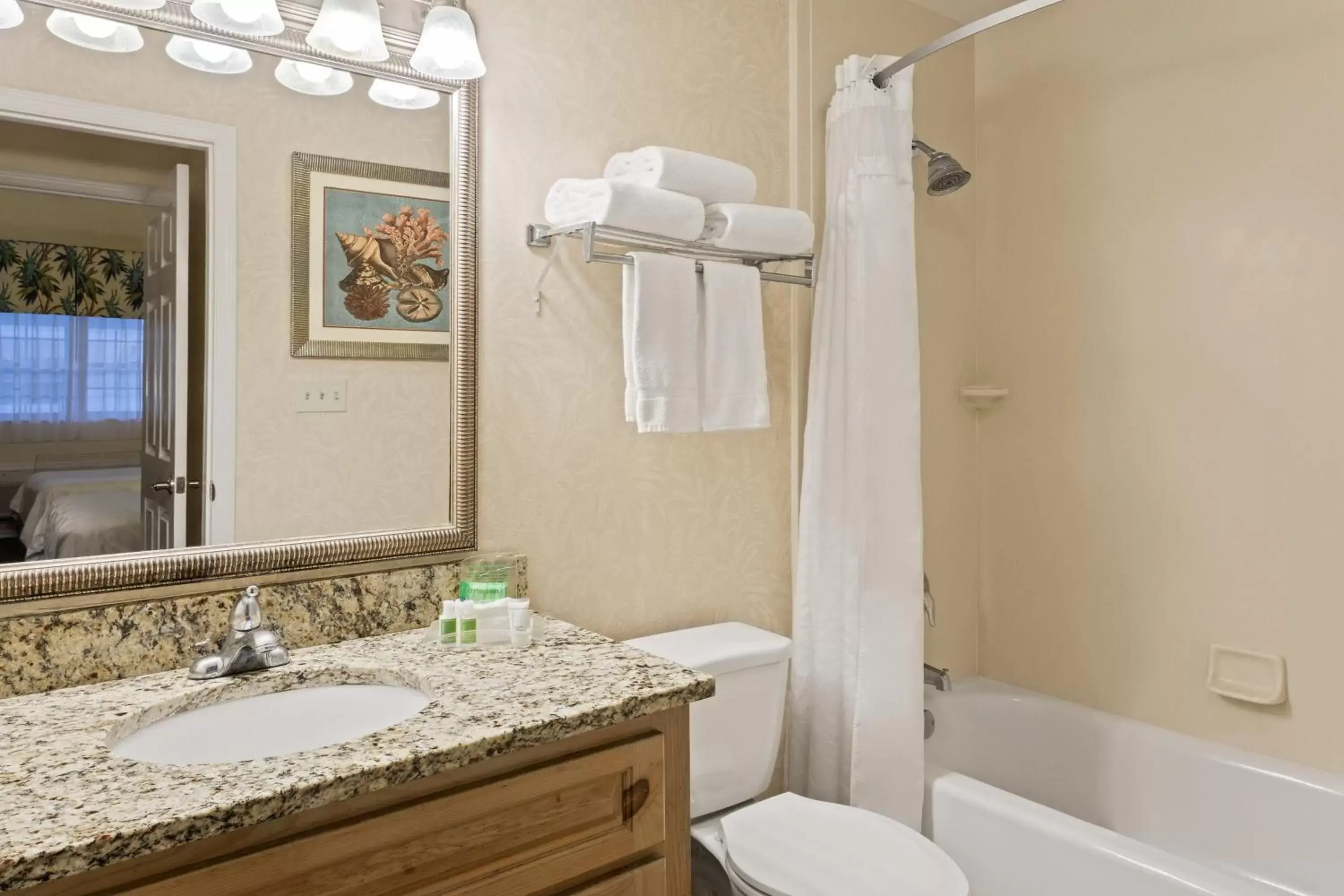 Bathroom in Holiday Inn & Suites Clearwater Beach S-Harbourside