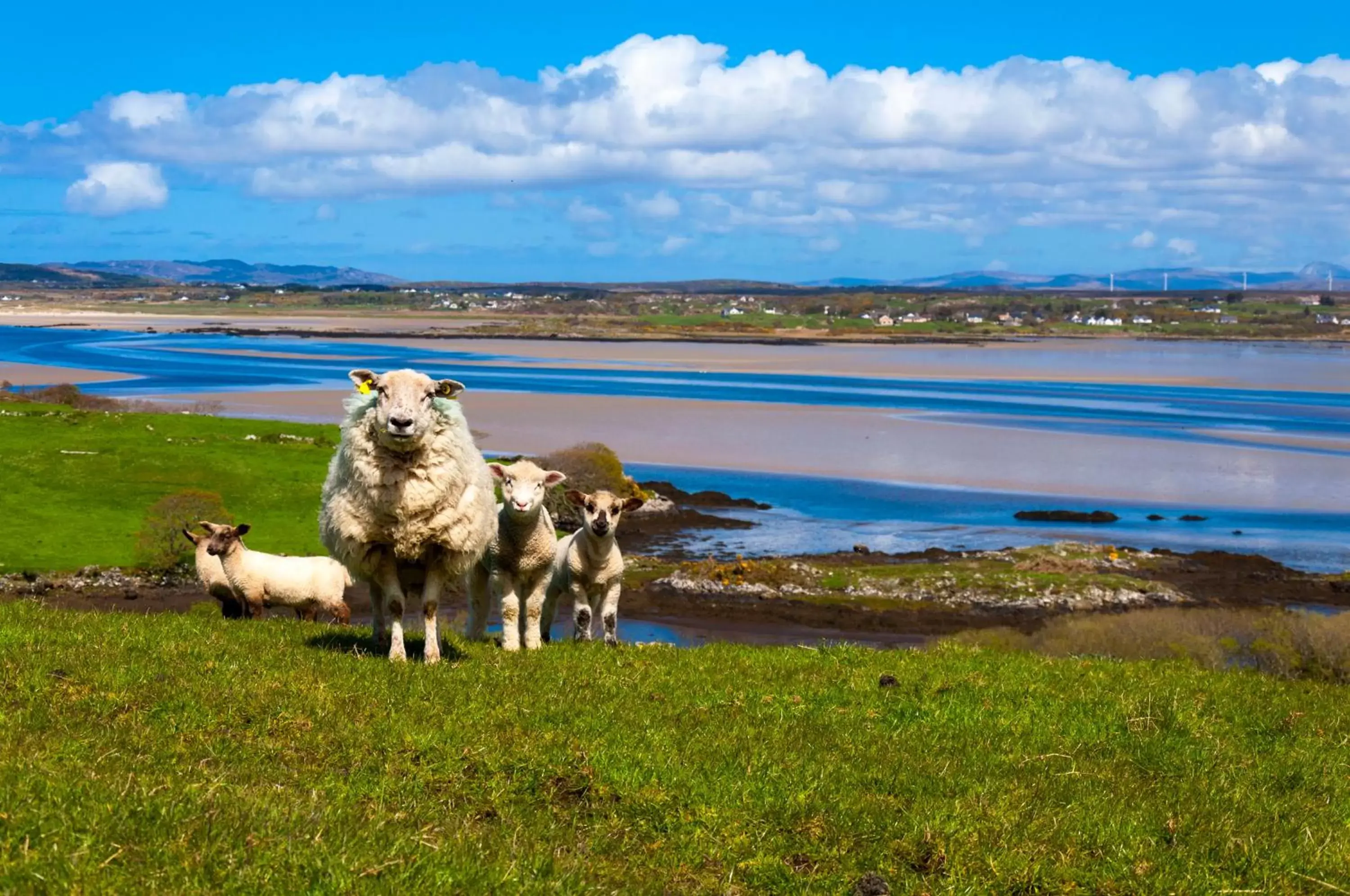 Natural landscape in Abbey Hotel Donegal