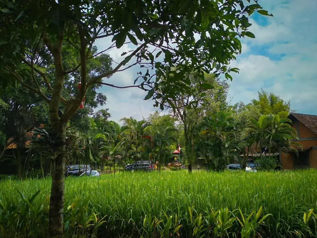 Natural landscape, Garden in Hills Joglo Villa