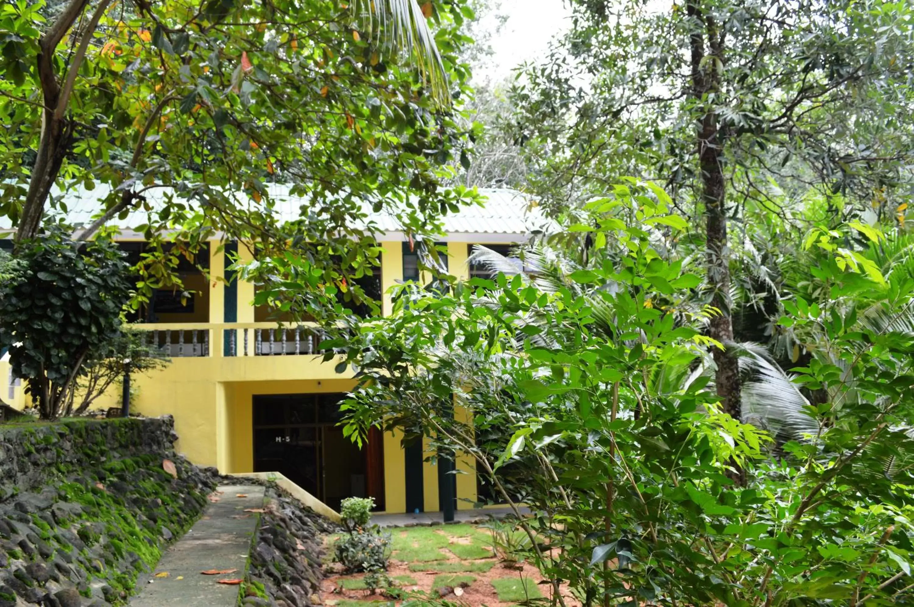 Garden view, Property Building in Island Lodge