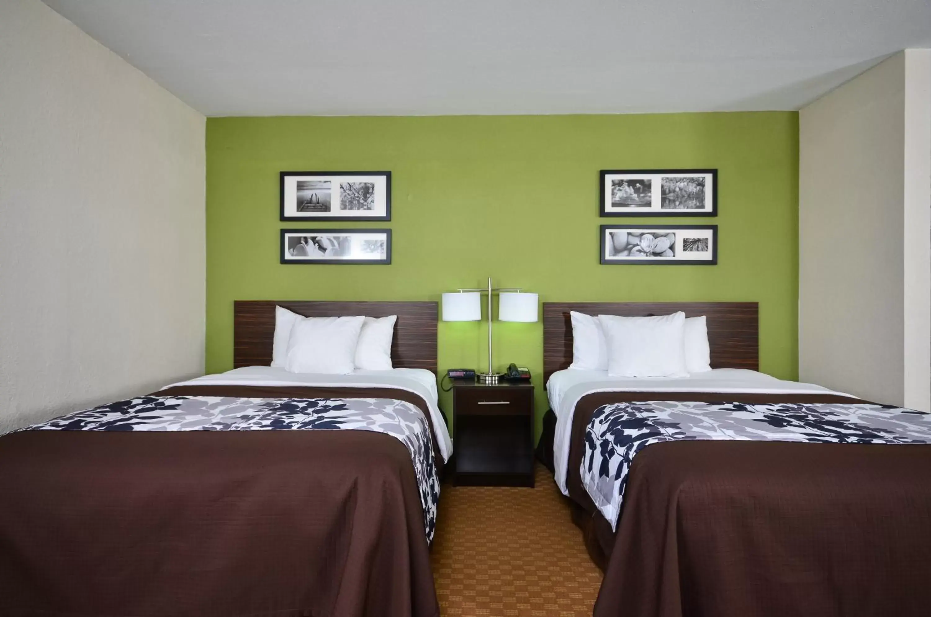 Double Room with Two Double Beds - Non-Smoking in Sleep Inn & Suites Cullman I-65 exit 310