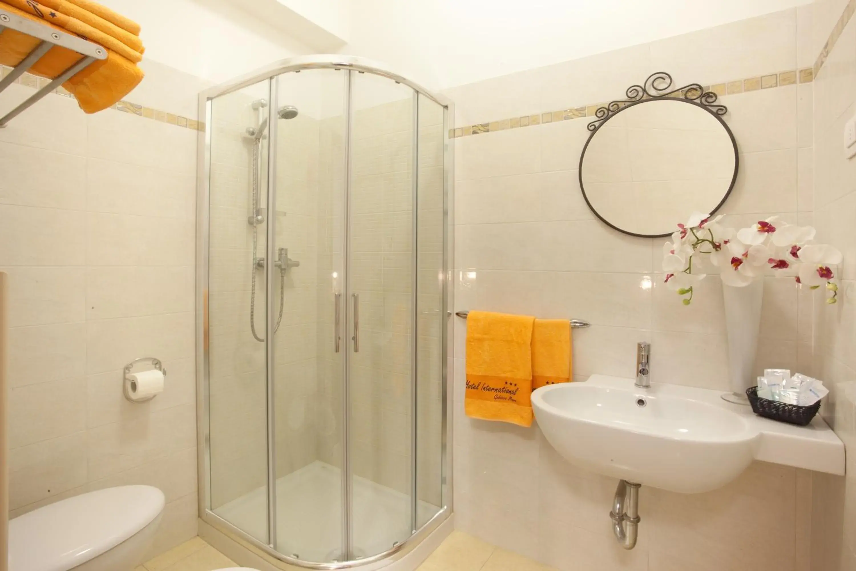 Shower, Bathroom in Hotel International