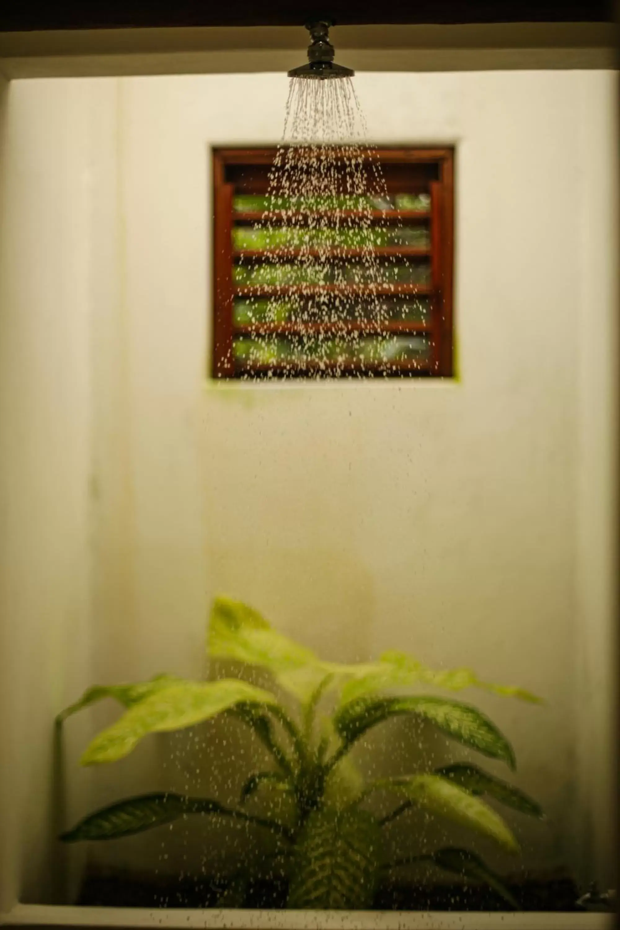 Shower, Bed in Mi Kasa Tu Kasa Bacalar by Nah Hotels