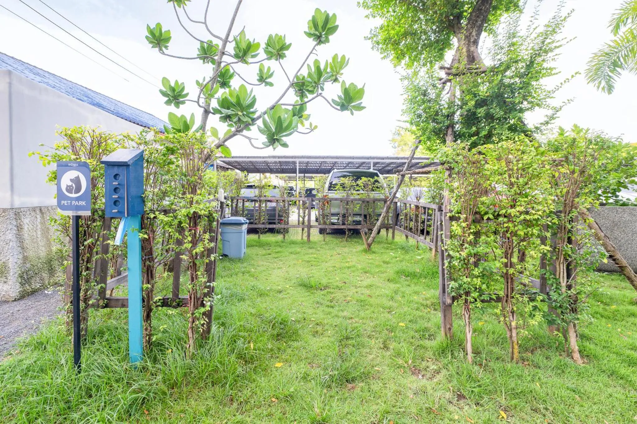 Other in HOMA Phuket Town