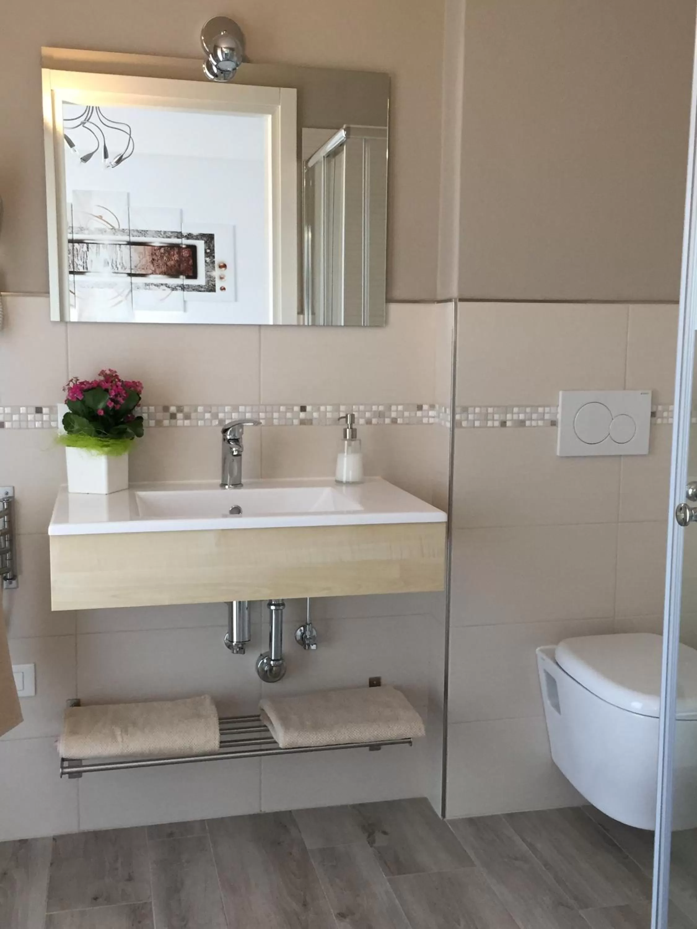 Toilet in Flyingaway