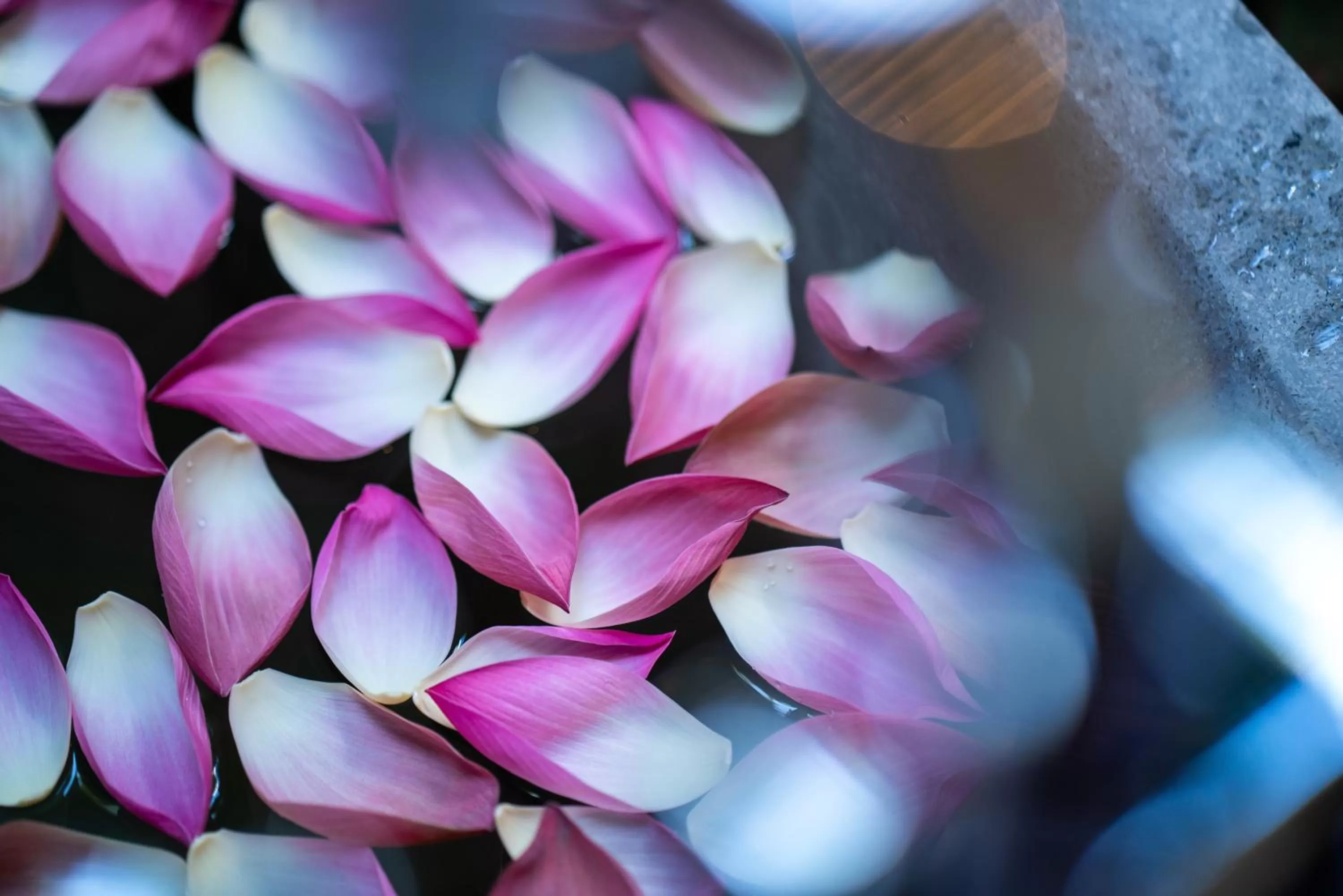 Bathroom in Shintana Saya La Maison