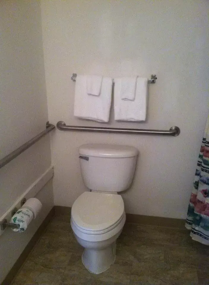 Toilet, Bathroom in Douglas Inn & Suites, Blue Ridge, GA