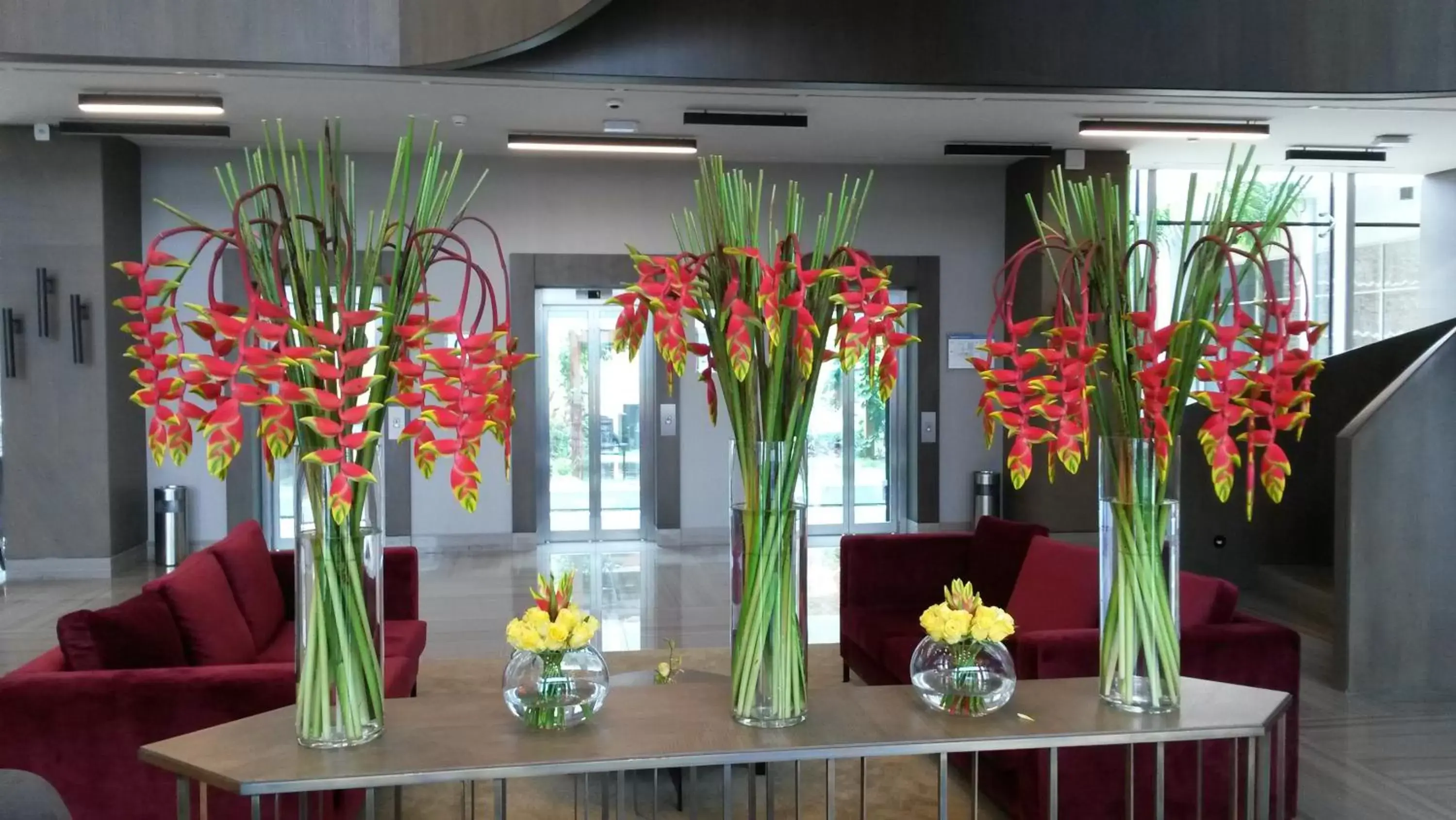 Lobby or reception, Banquet Facilities in Radisson Blu Hotel, Abidjan Airport