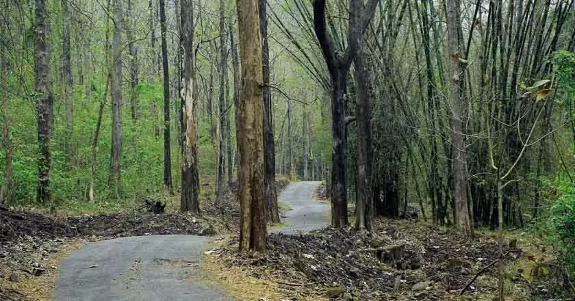 Sports in Thenmala Heritage