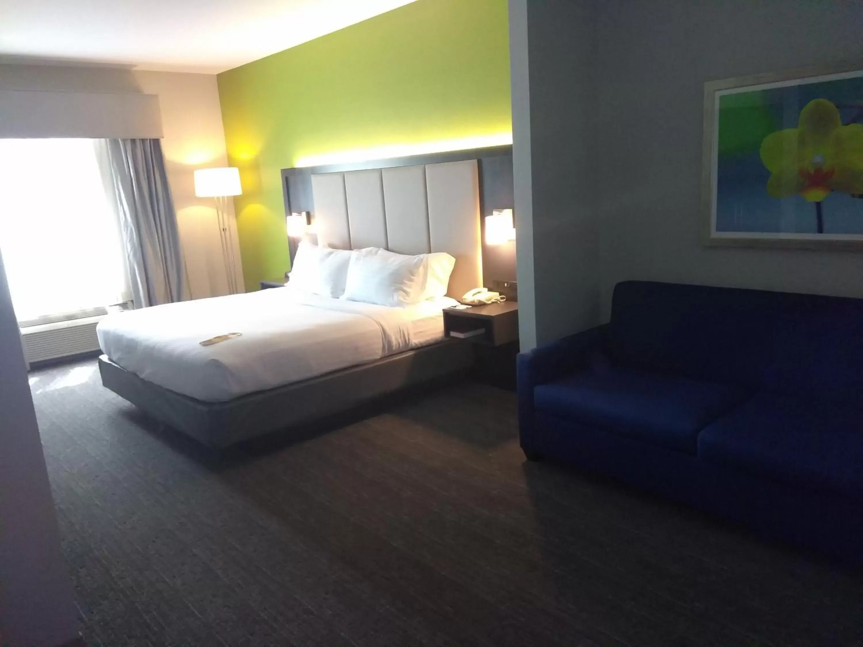 Photo of the whole room, Bed in Holiday Inn Express Pearland, an IHG Hotel